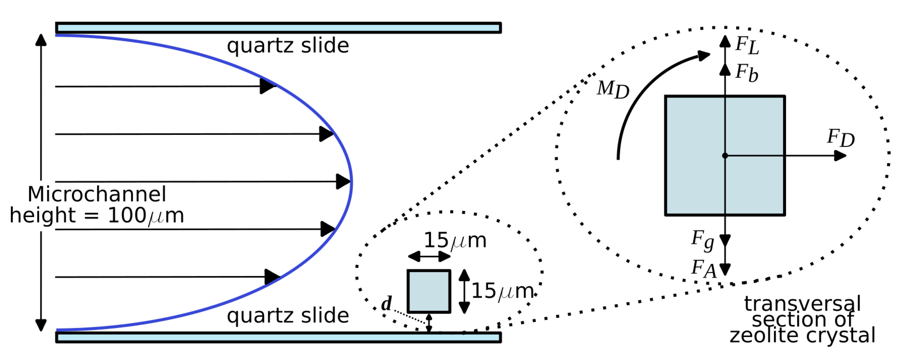 Applsci 13 02699 g005