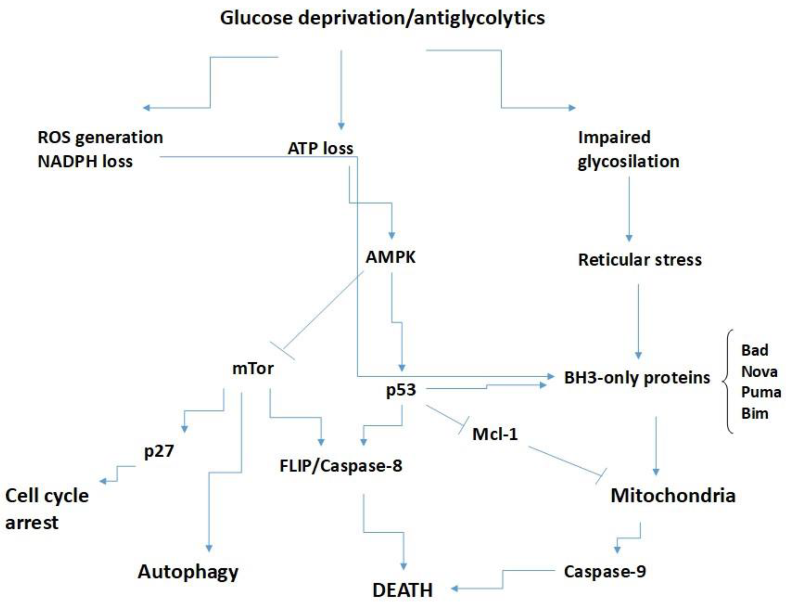 Applsci 13 02757 g002
