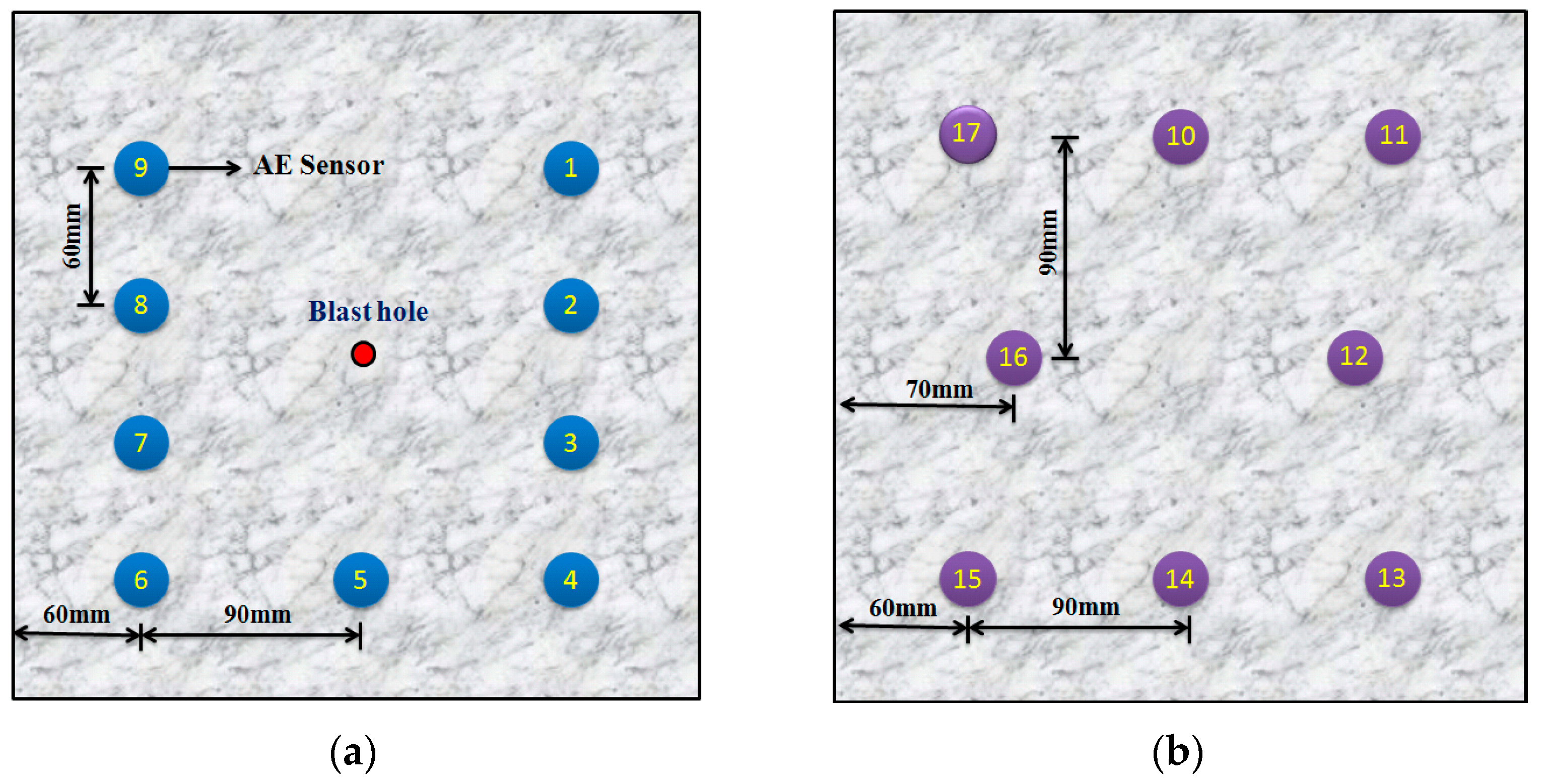 Applsci 13 02781 g001