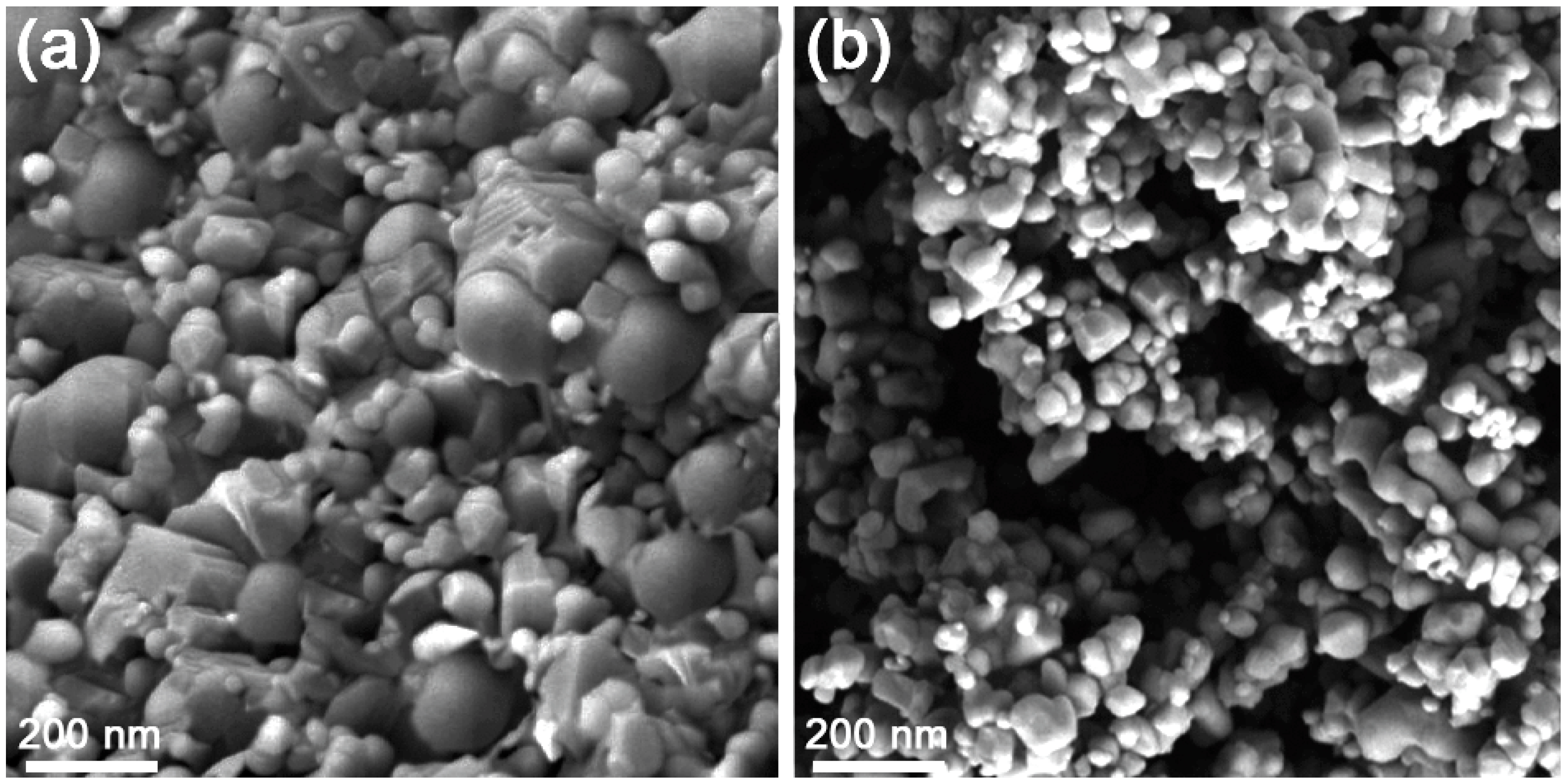 Applsci 13 02797 g001