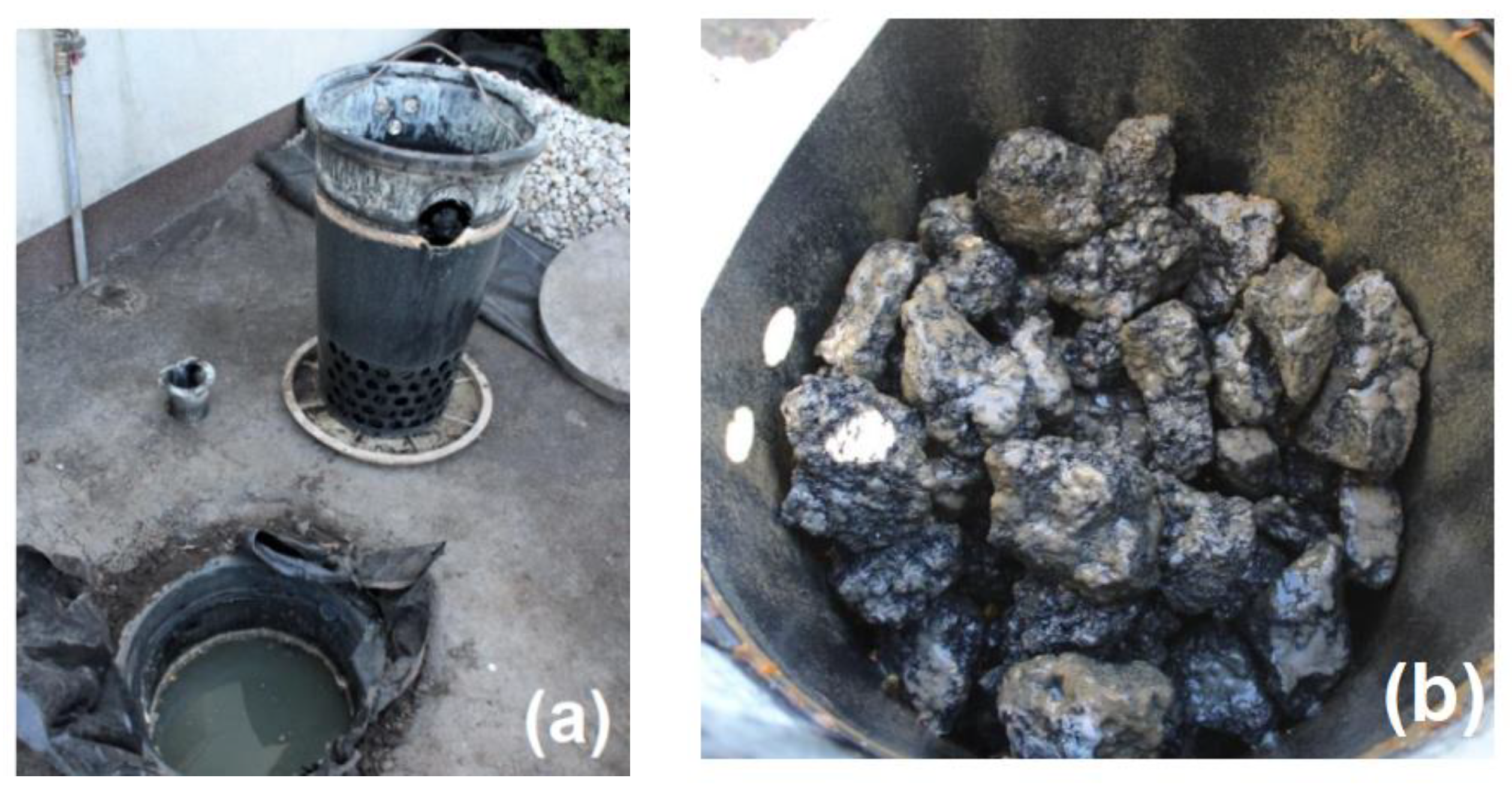 Applsci 13 02853 g002 Applsci 13 02853 g002