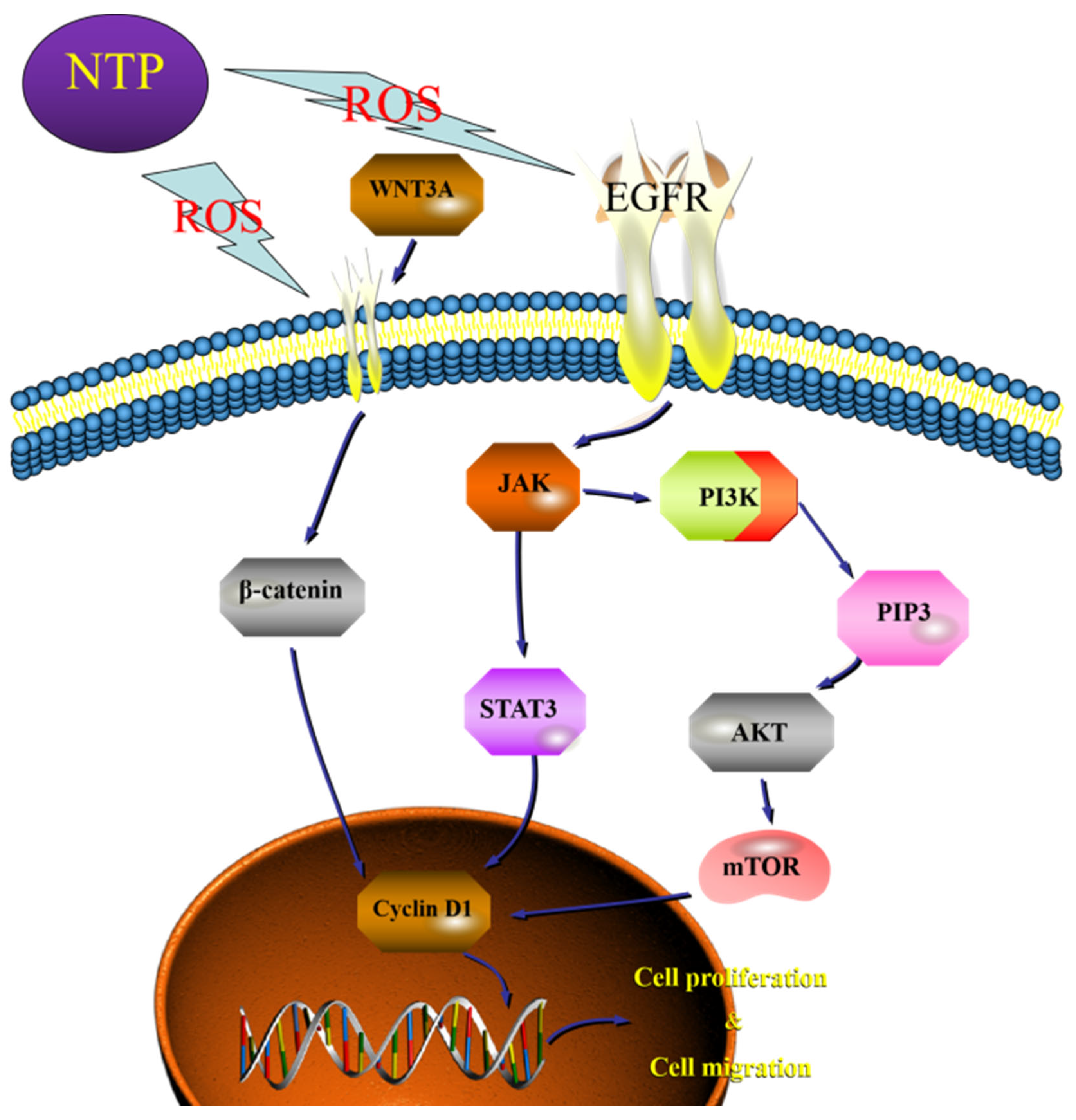 Applsci 13 02866 g010