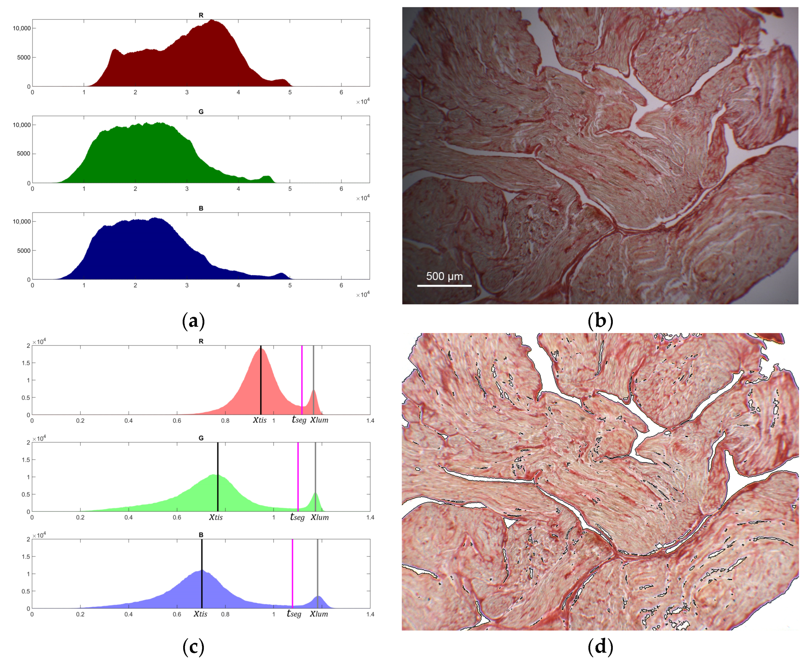 Applsci 13 02916 g003 Applsci 13 02916 g003