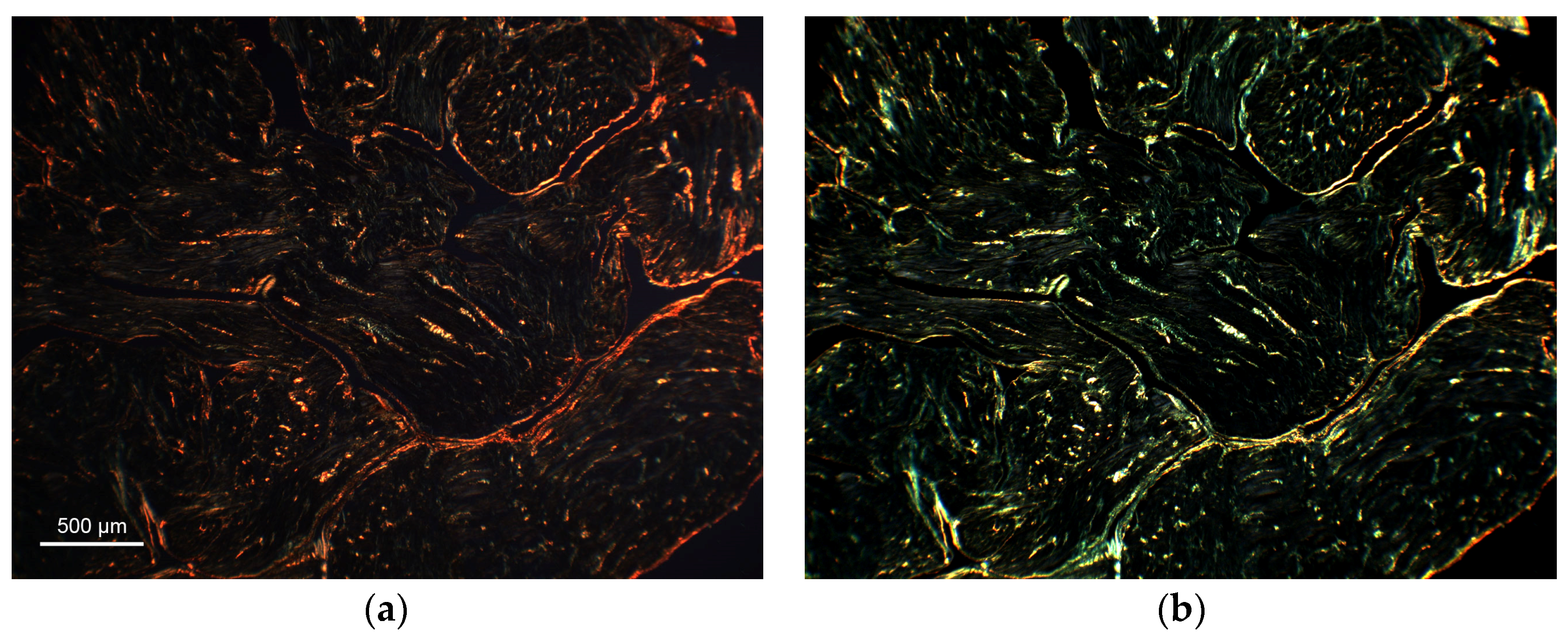 Applsci 13 02916 g004a Applsci 13 02916 g004a