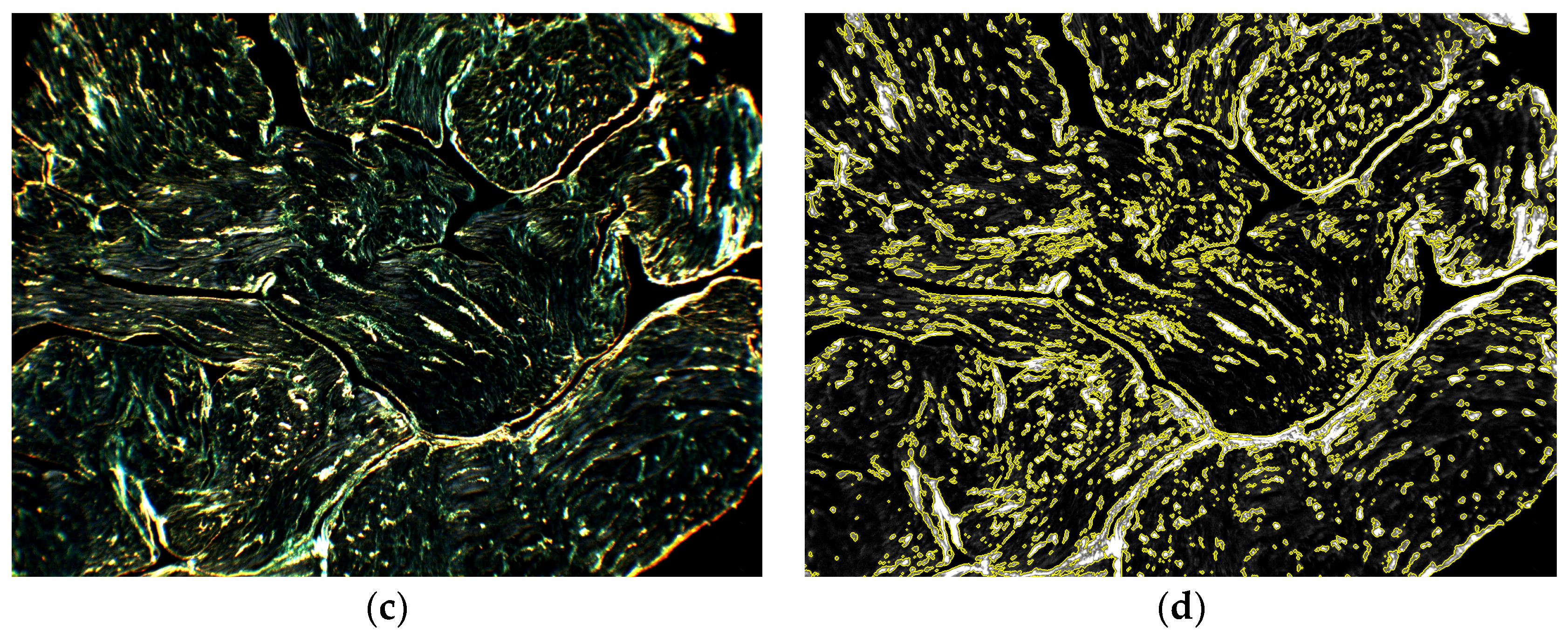 Applsci 13 02916 g004b Applsci 13 02916 g004b