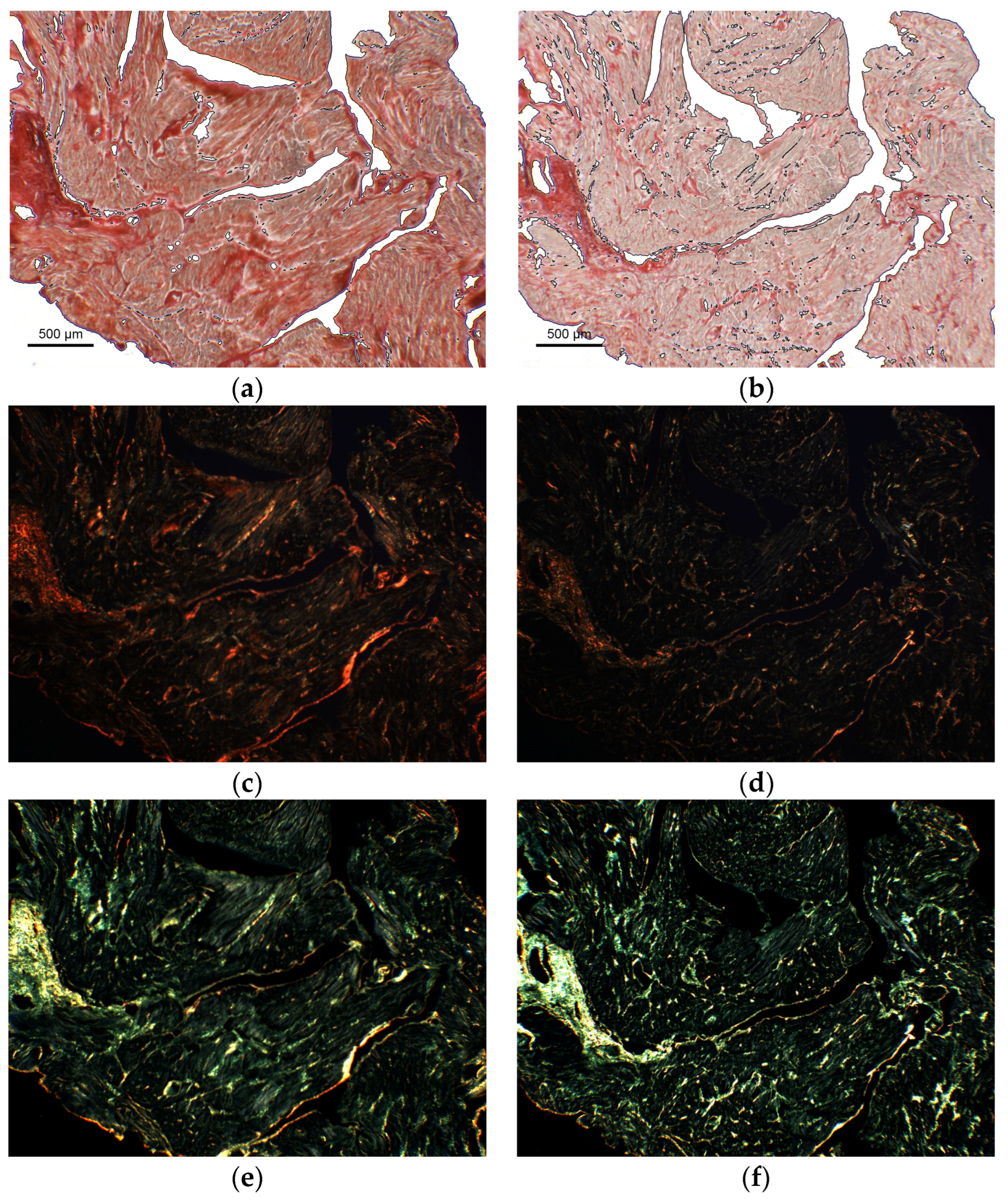 Applsci 13 02916 g005a Applsci 13 02916 g005a