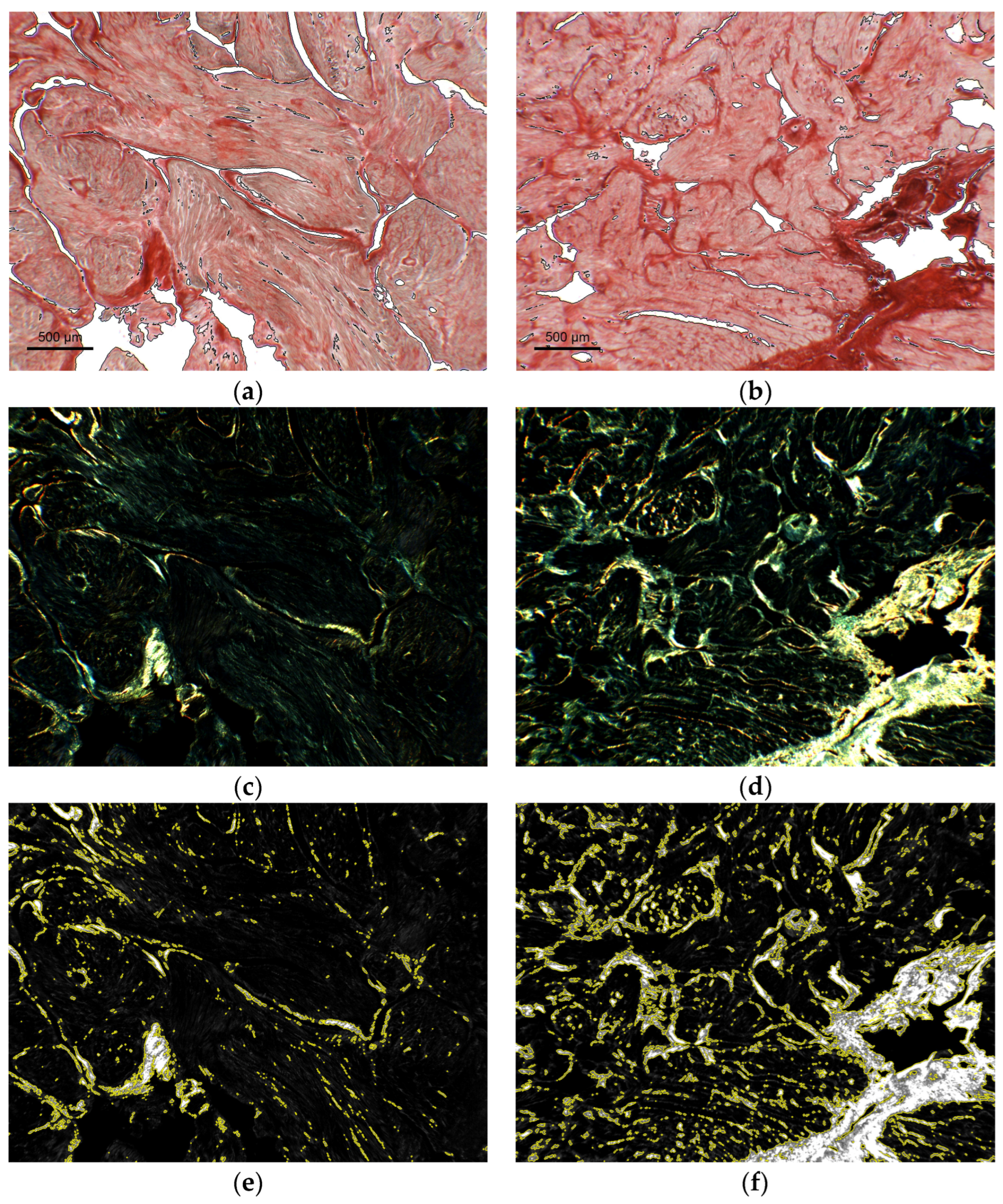 Applsci 13 02916 g006 Applsci 13 02916 g006