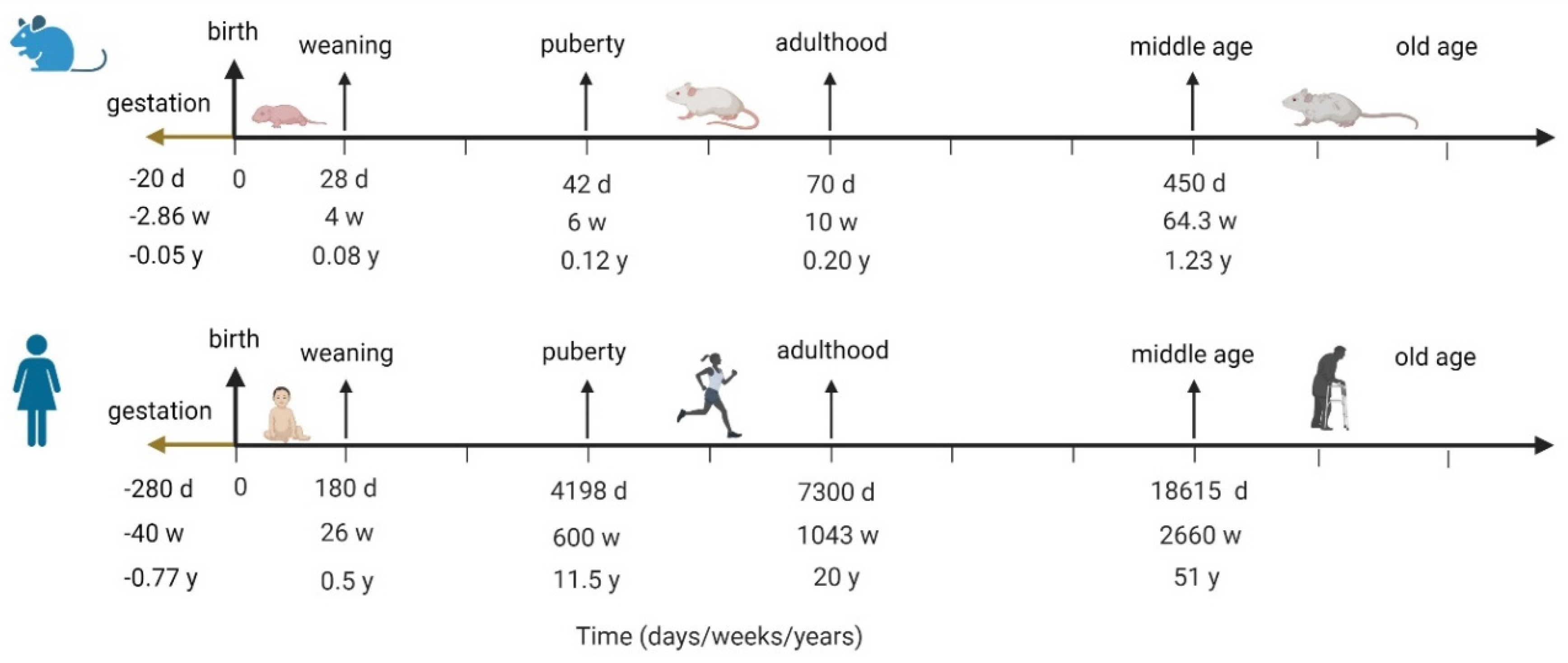 Applsci 13 02970 g002 Applsci 13 02970 g002