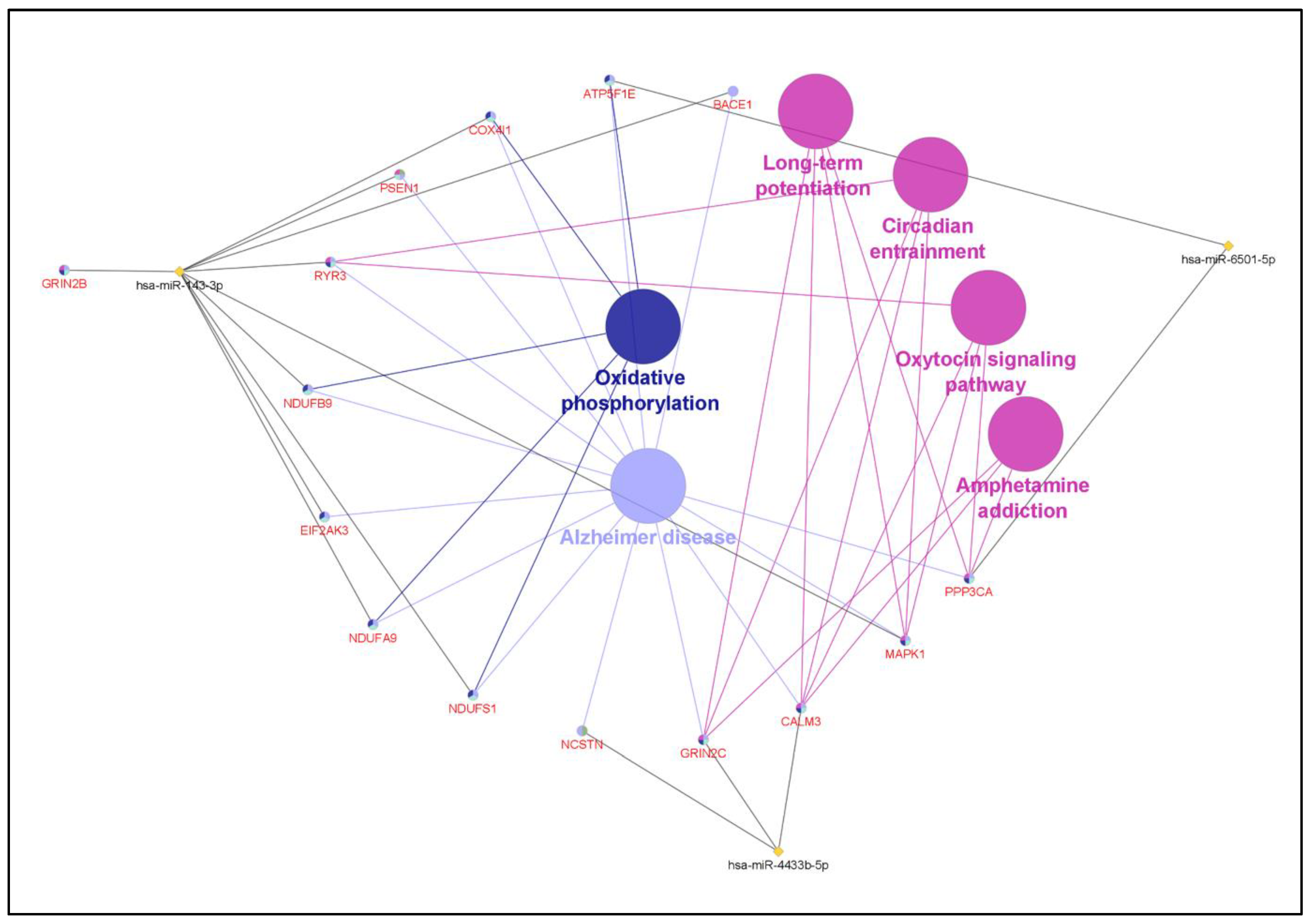 Applsci 13 03071 g005