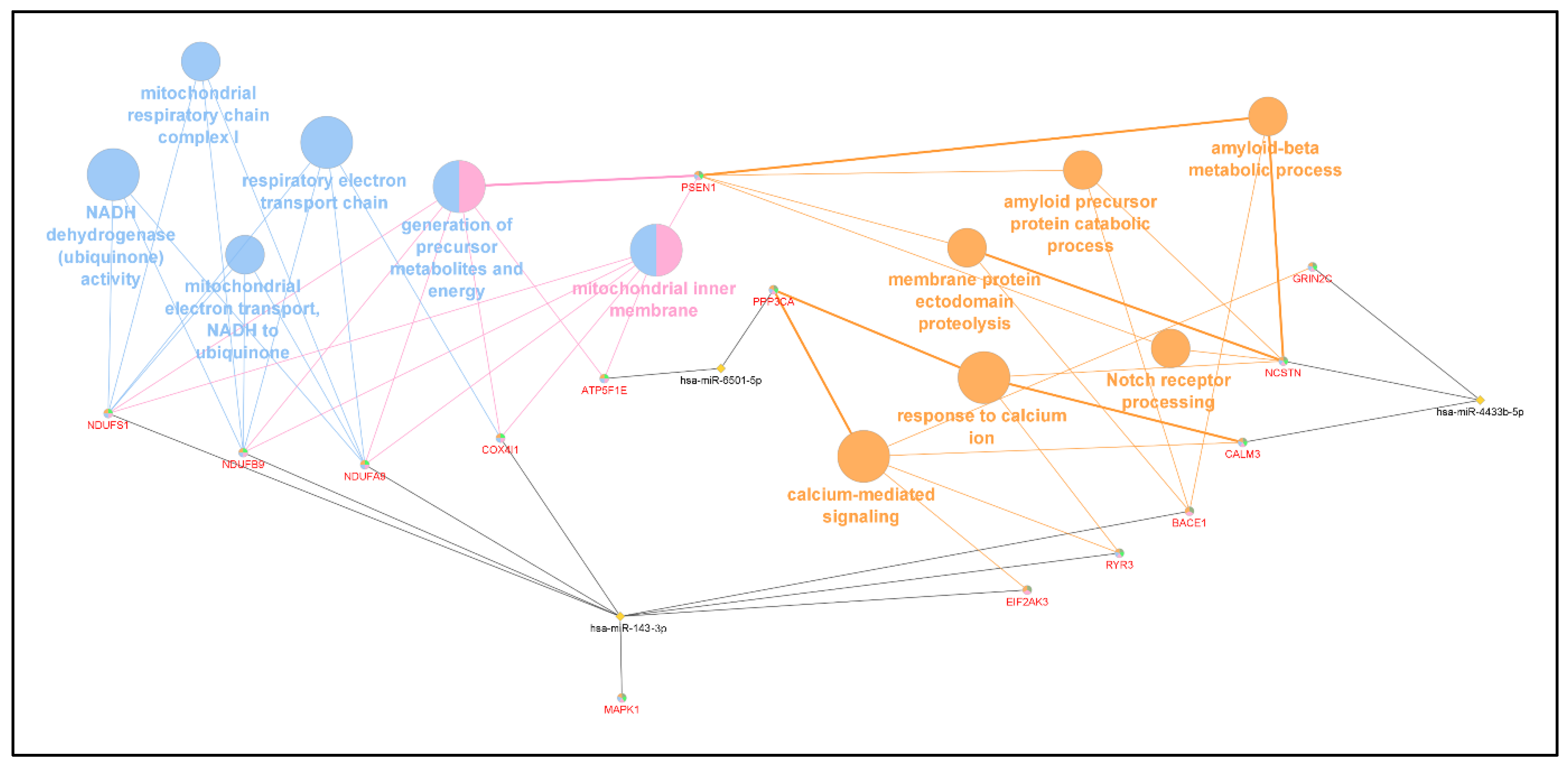 Applsci 13 03071 g006