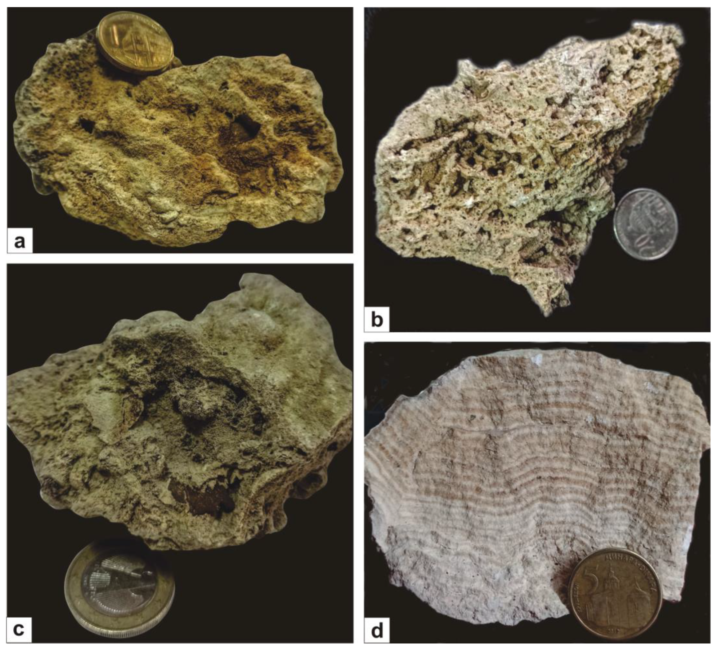 Applsci 13 03190 g003 Applsci 13 03190 g003