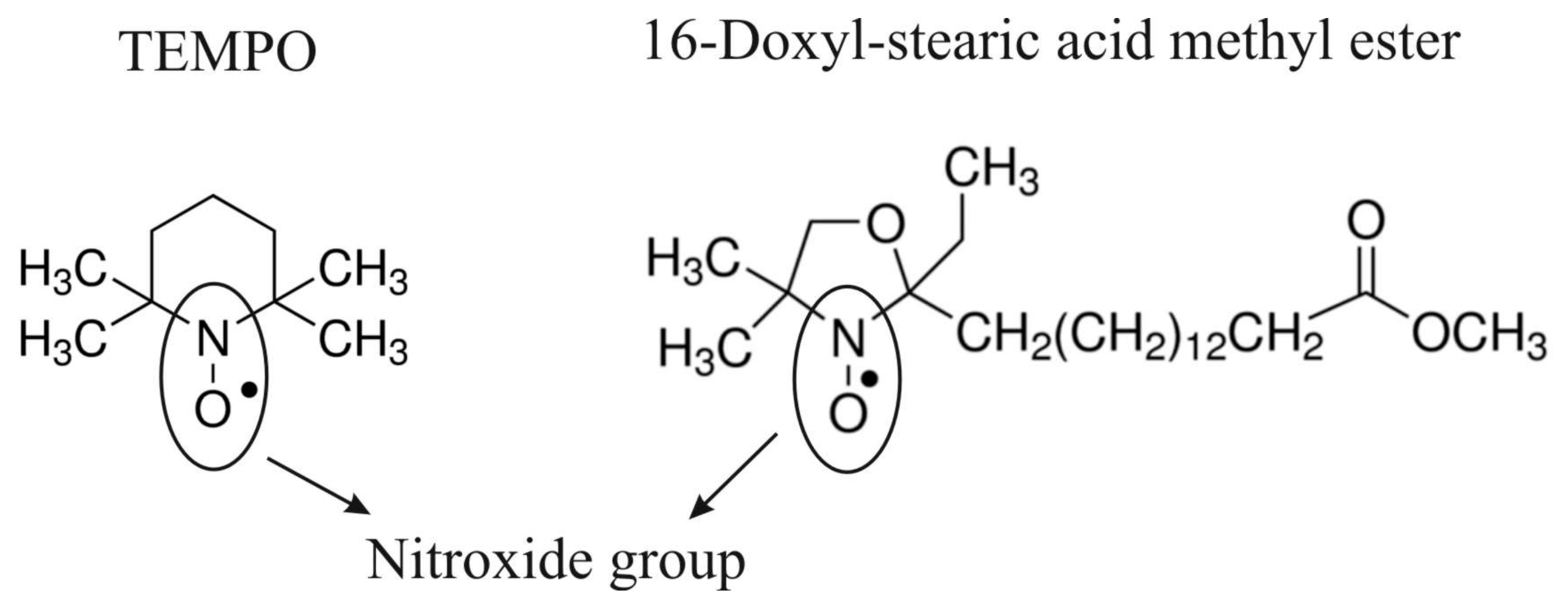 Applsci 13 03272 g002