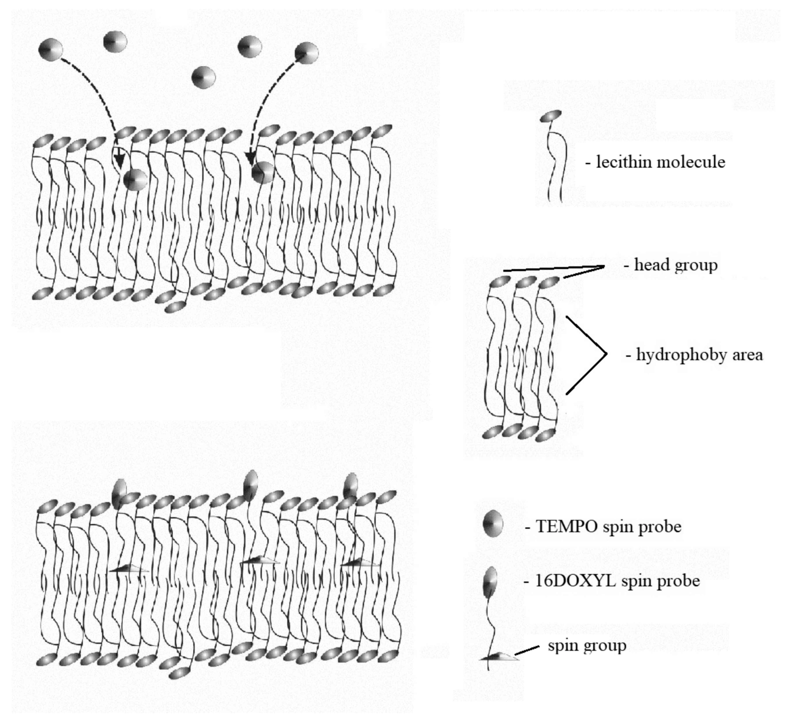 Applsci 13 03272 g005