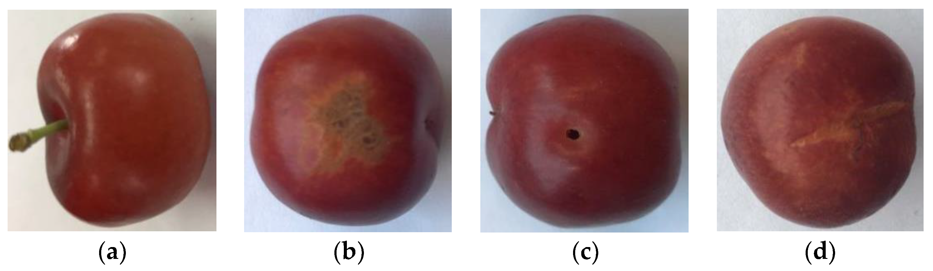 Applsci 13 03279 g001