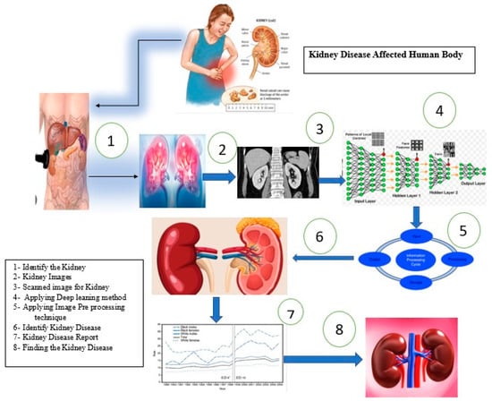 new research in kidney disease