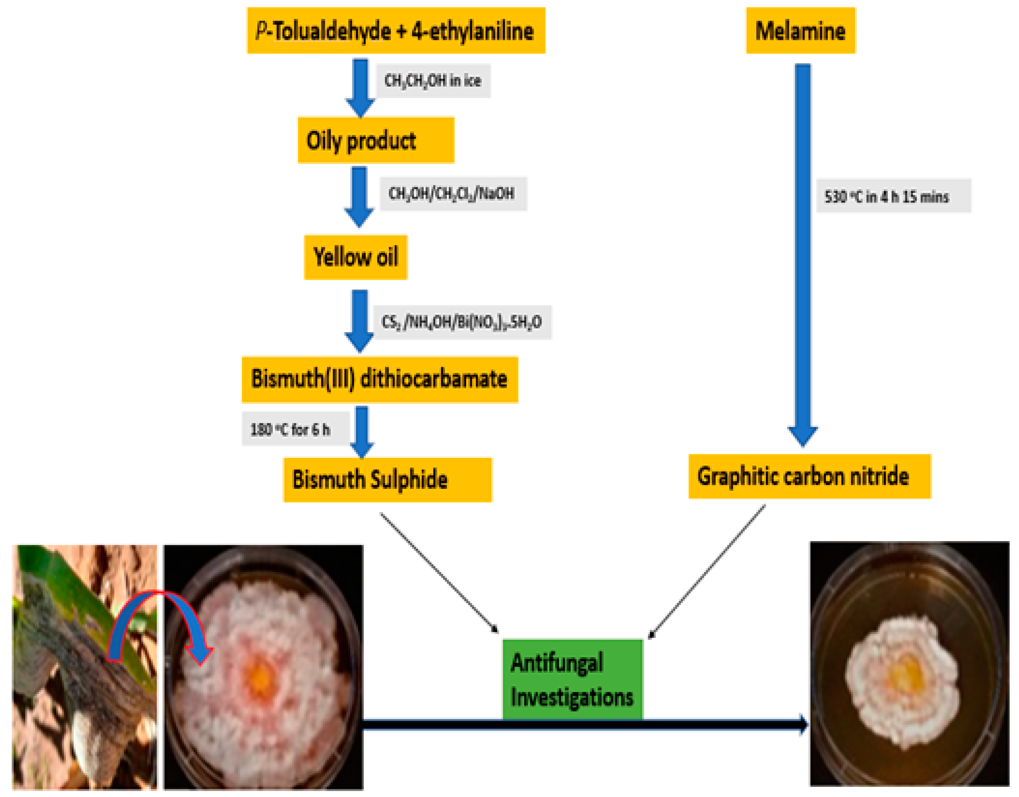 Applsci 13 03731 g001 Applsci 13 03731 g001