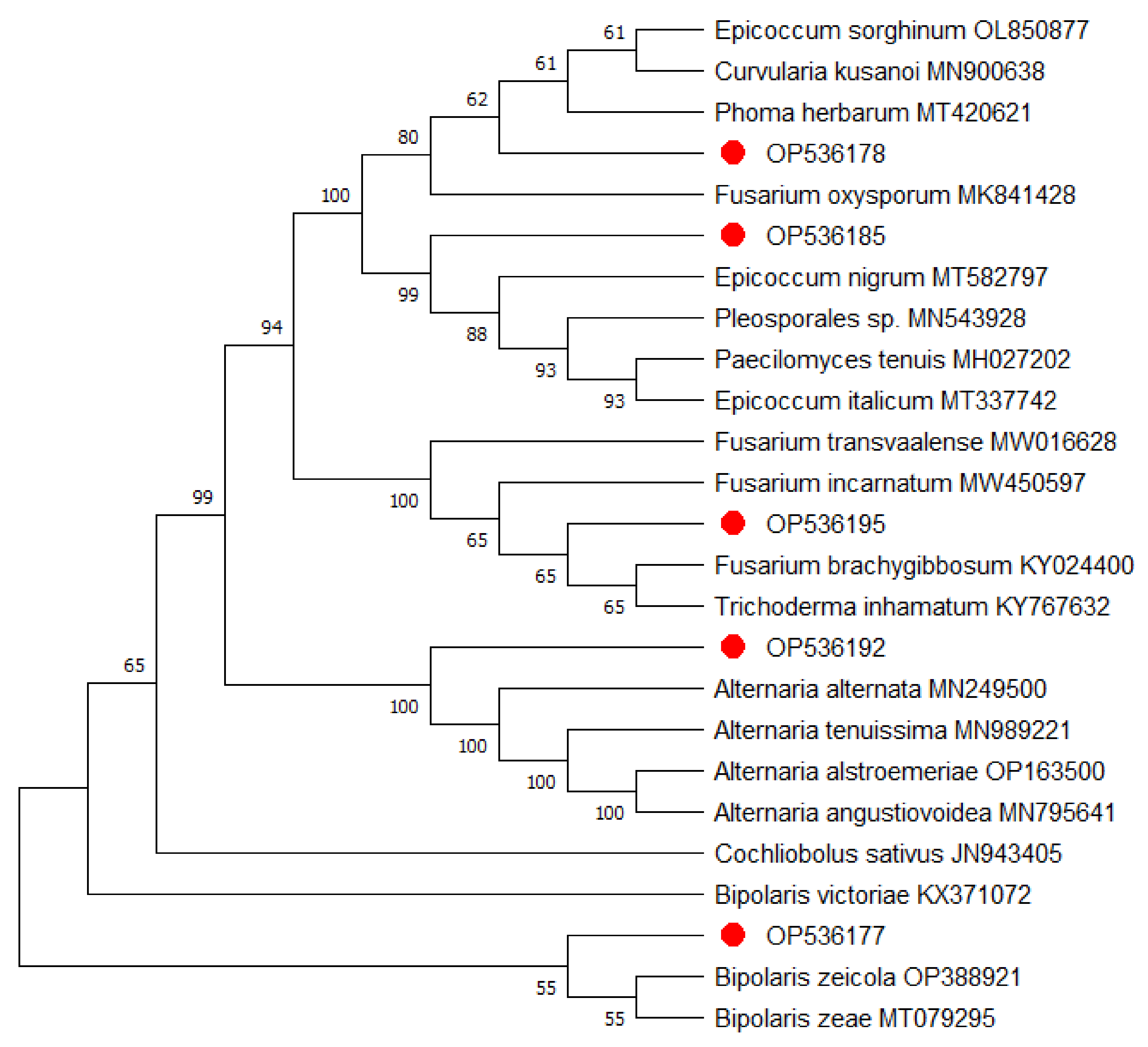 Applsci 13 03731 g005 Applsci 13 03731 g005