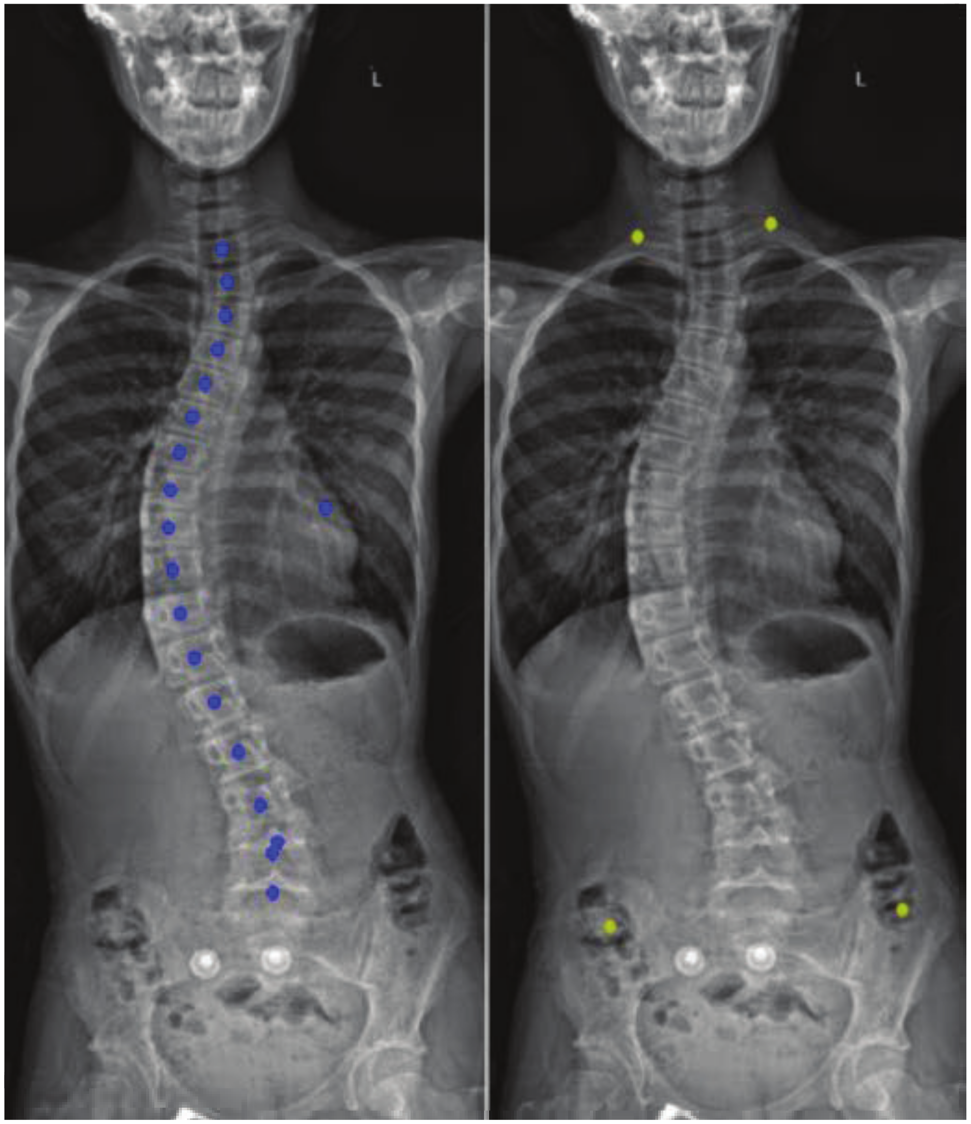 Applsci 13 03817 g005 Applsci 13 03817 g005