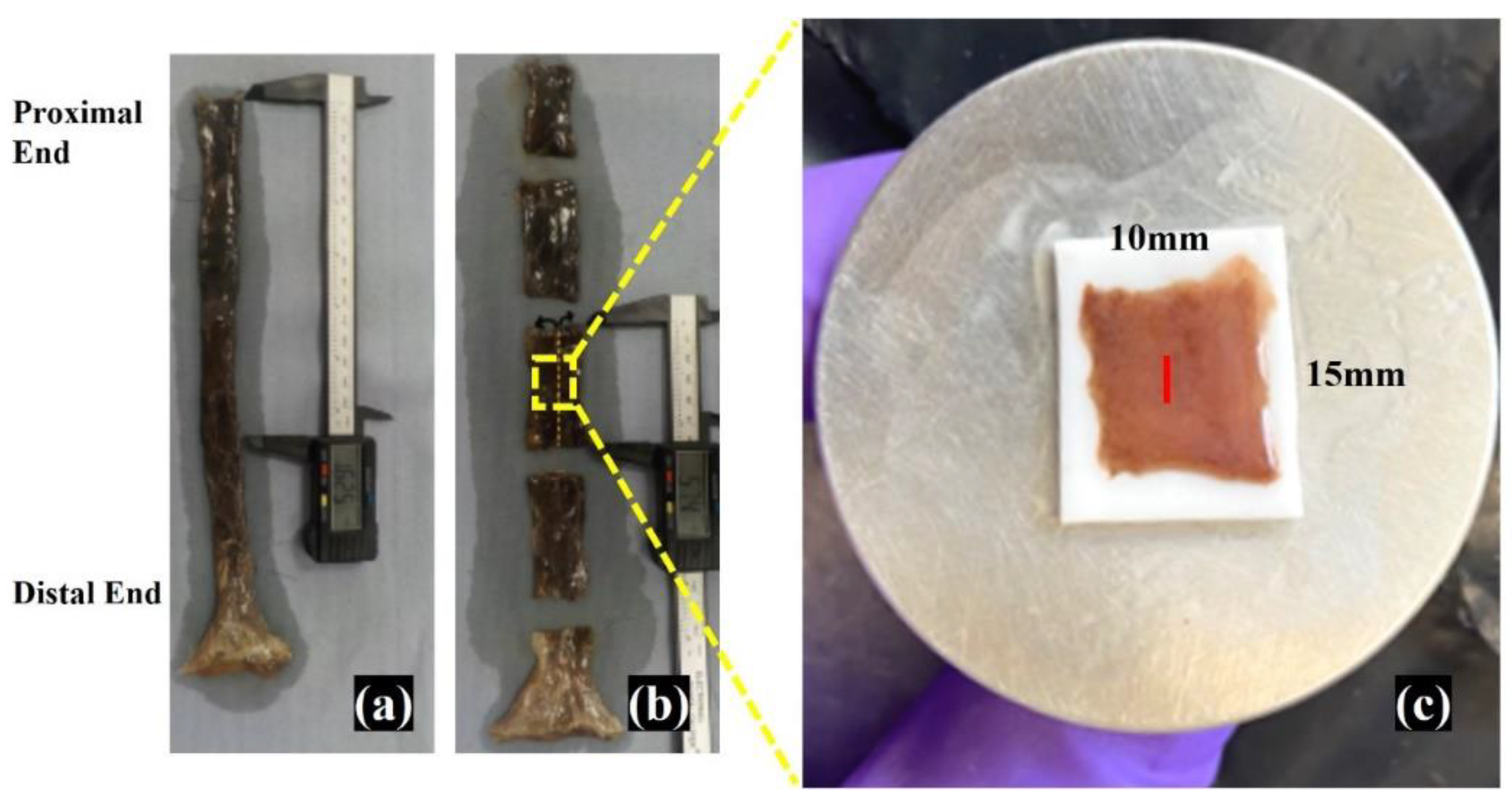 Applsci 13 03844 g002