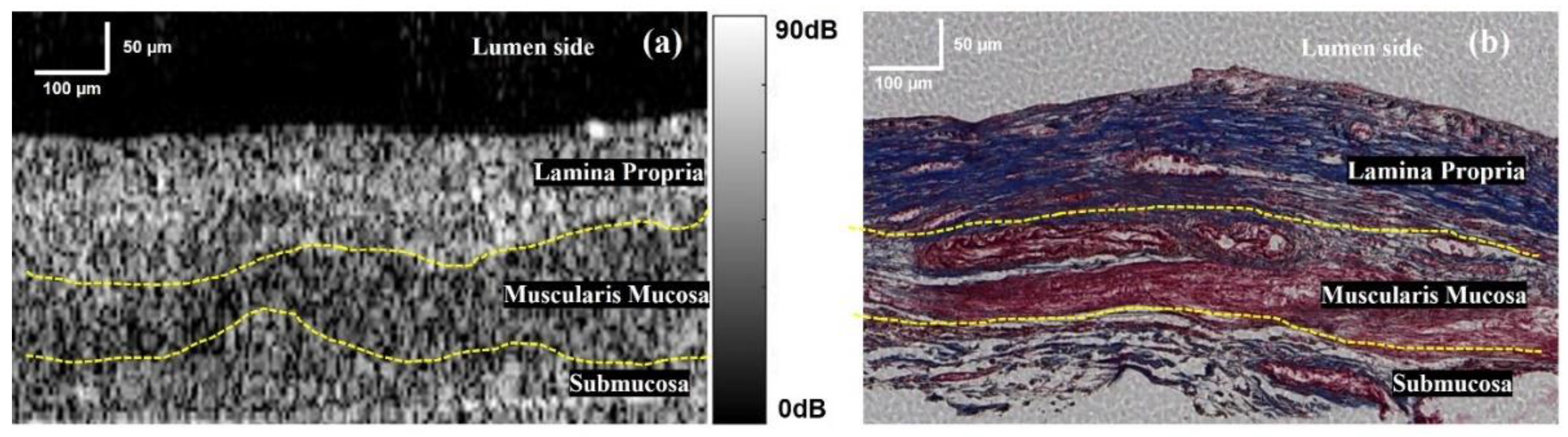 Applsci 13 03844 g003