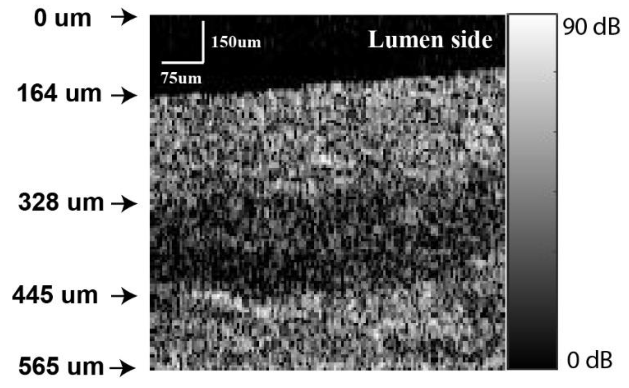 Applsci 13 03844 g005