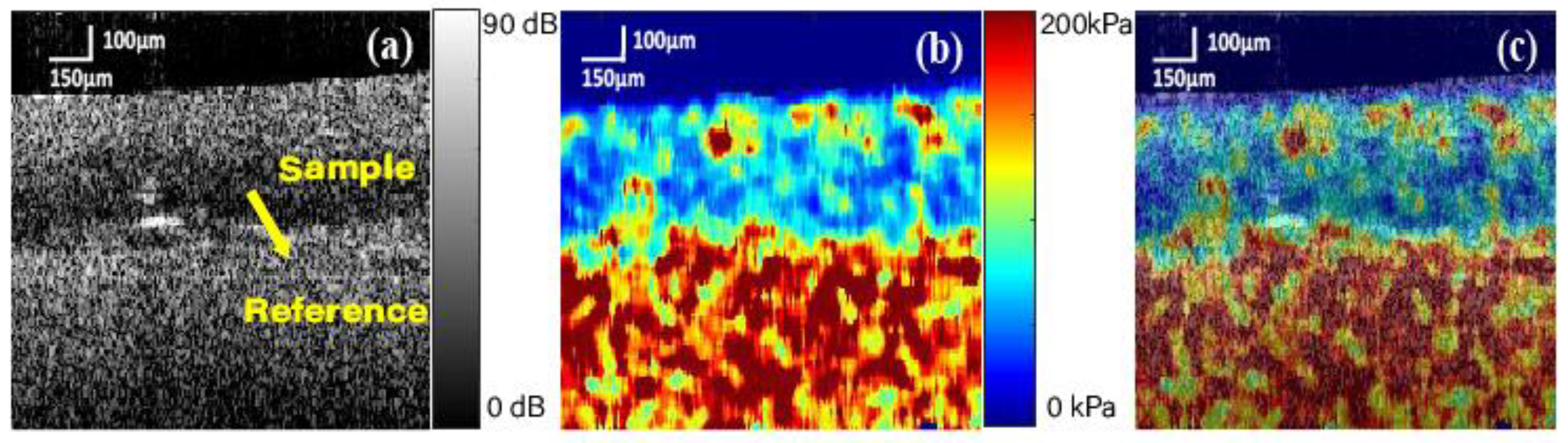 Applsci 13 03844 g007