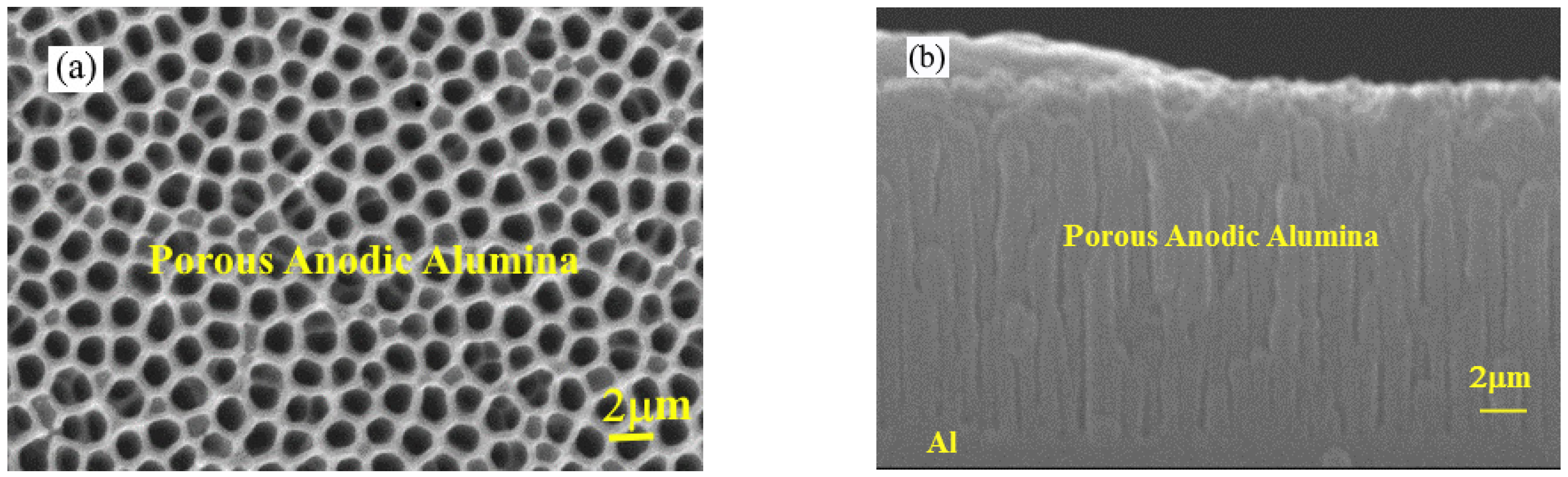 Applsci 13 03881 g003