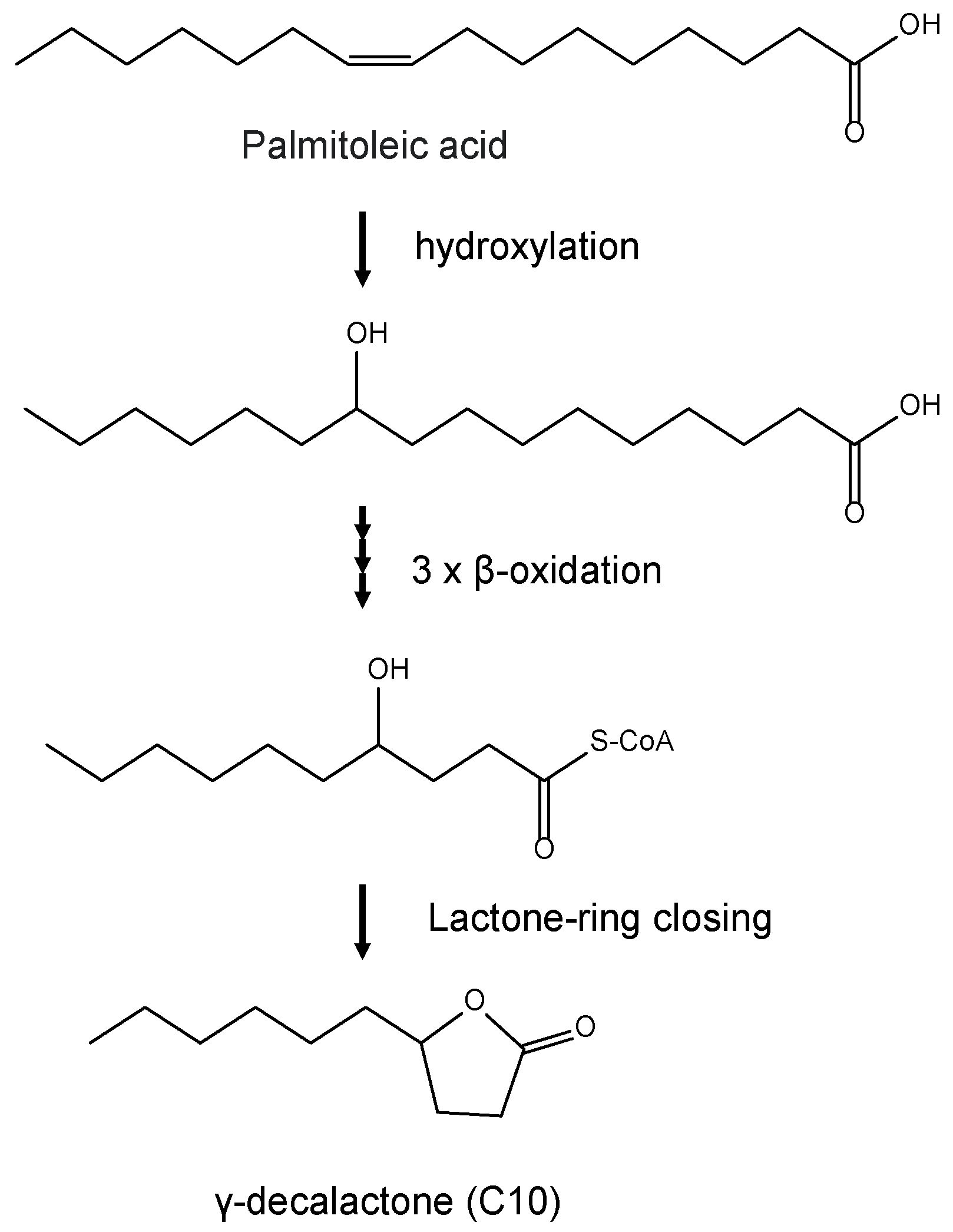 Applsci 13 03930 g006 Applsci 13 03930 g006