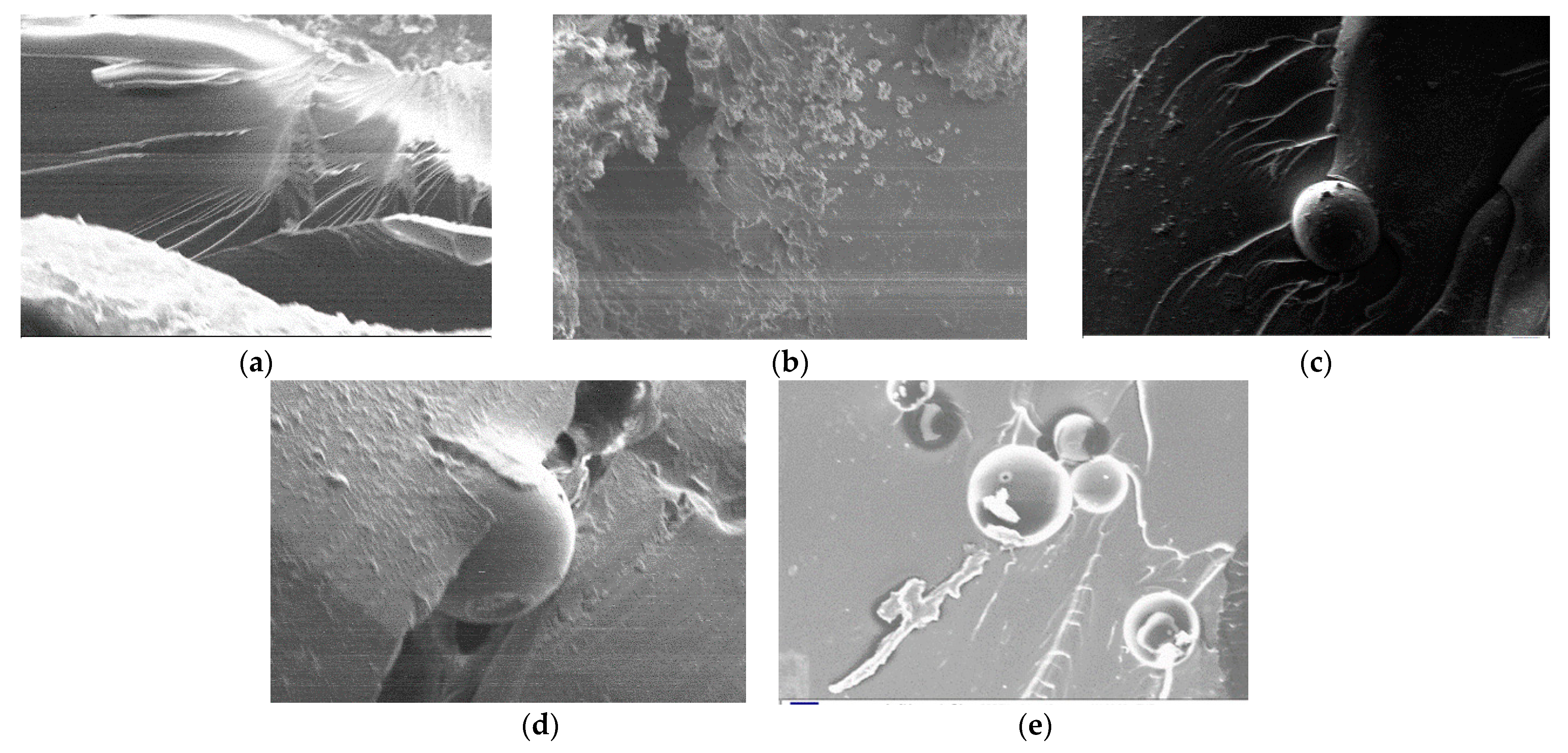 Applsci 13 03981 g014