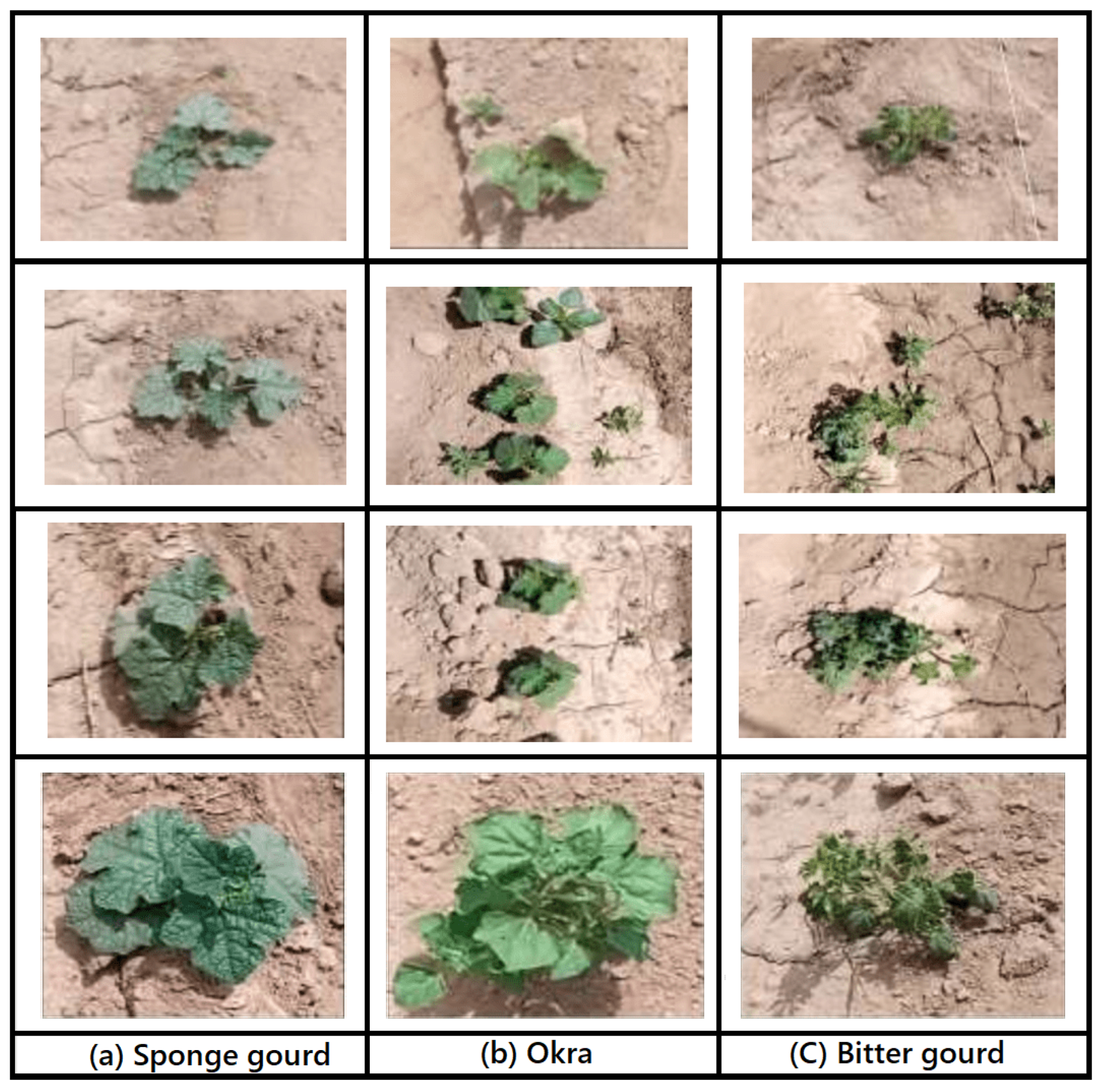 Applsci 13 03997 g002 Applsci 13 03997 g002