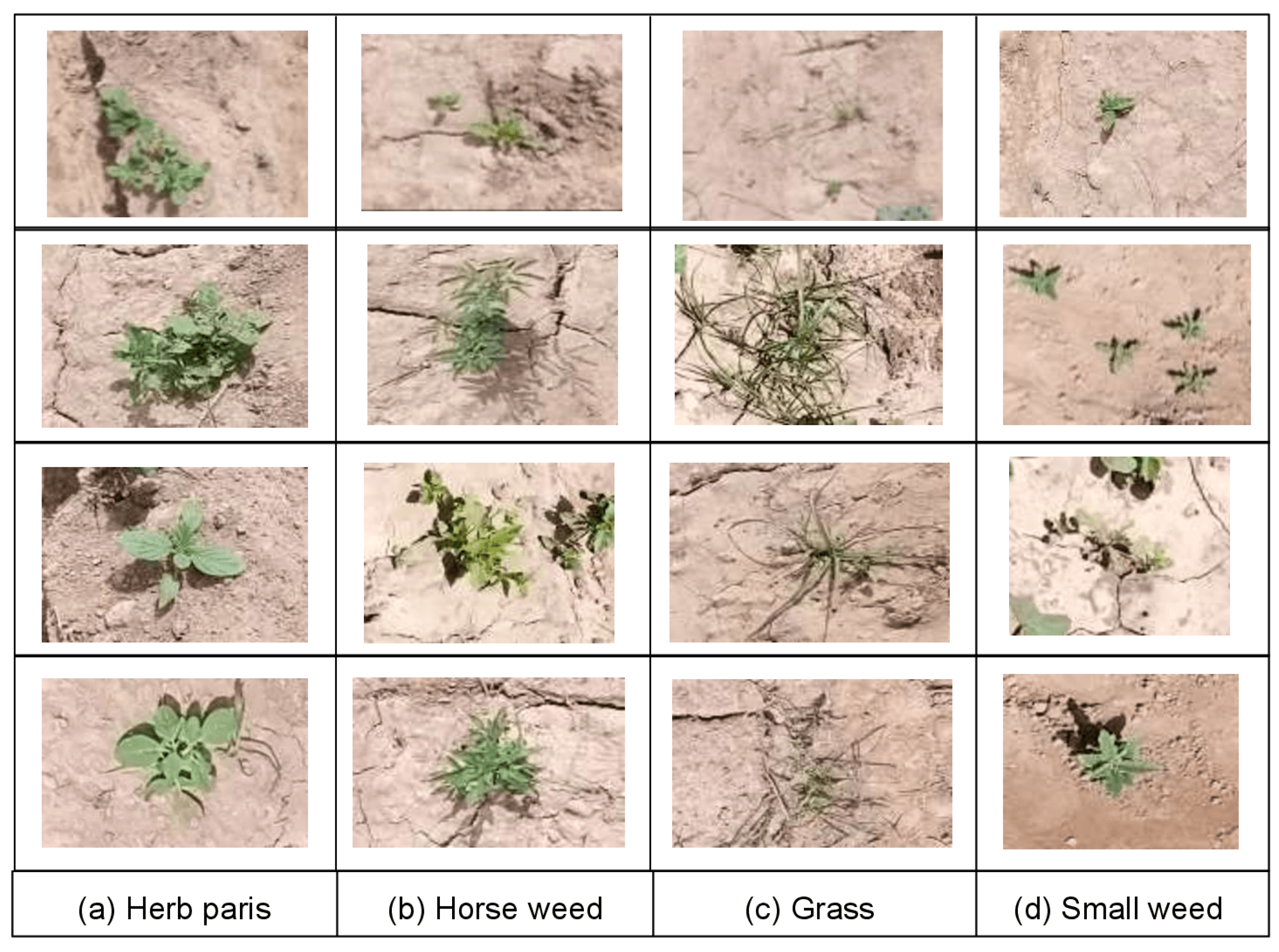 Applsci 13 03997 g003 Applsci 13 03997 g003