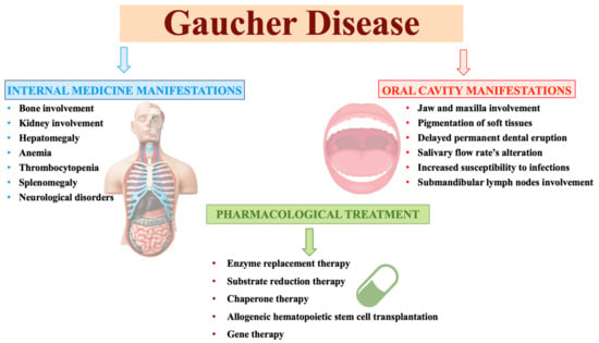 Doença de Gaucher  Concise Medical Knowledge