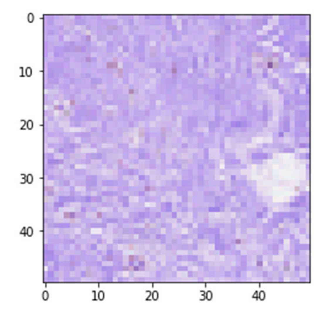 Applsci 13 04255 g006 Applsci 13 04255 g006