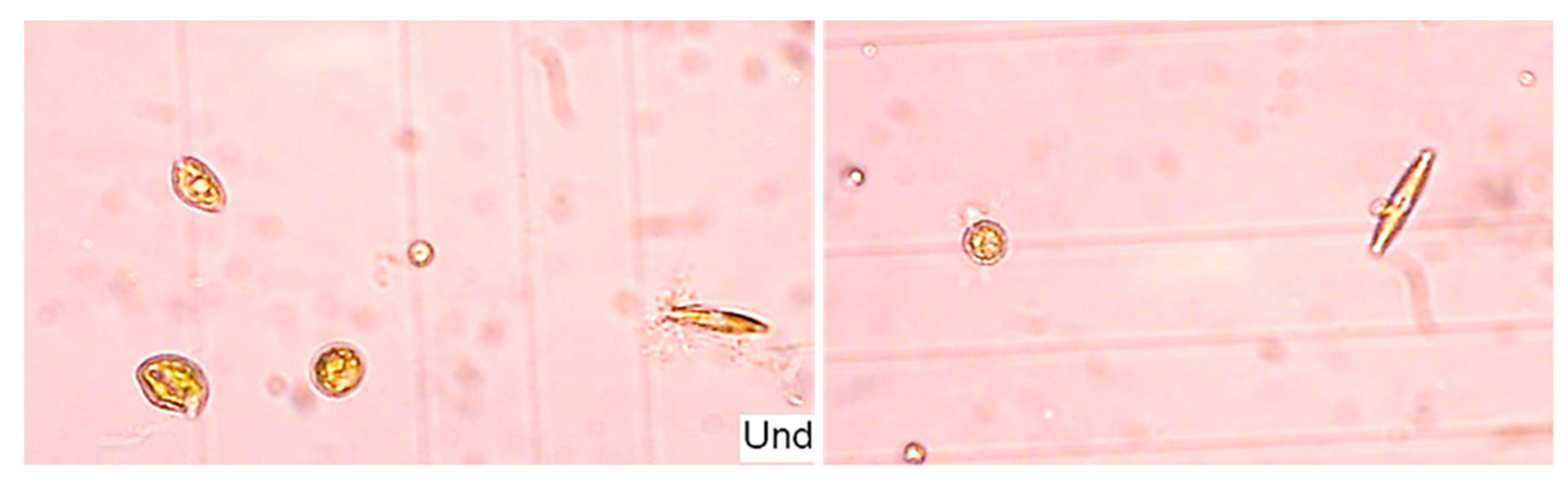 Applsci 13 04266 g003 Applsci 13 04266 g003