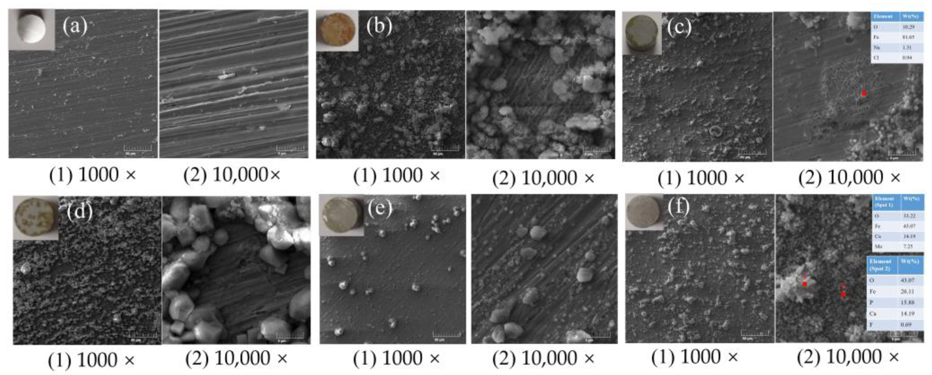 Applsci 13 04446 g013