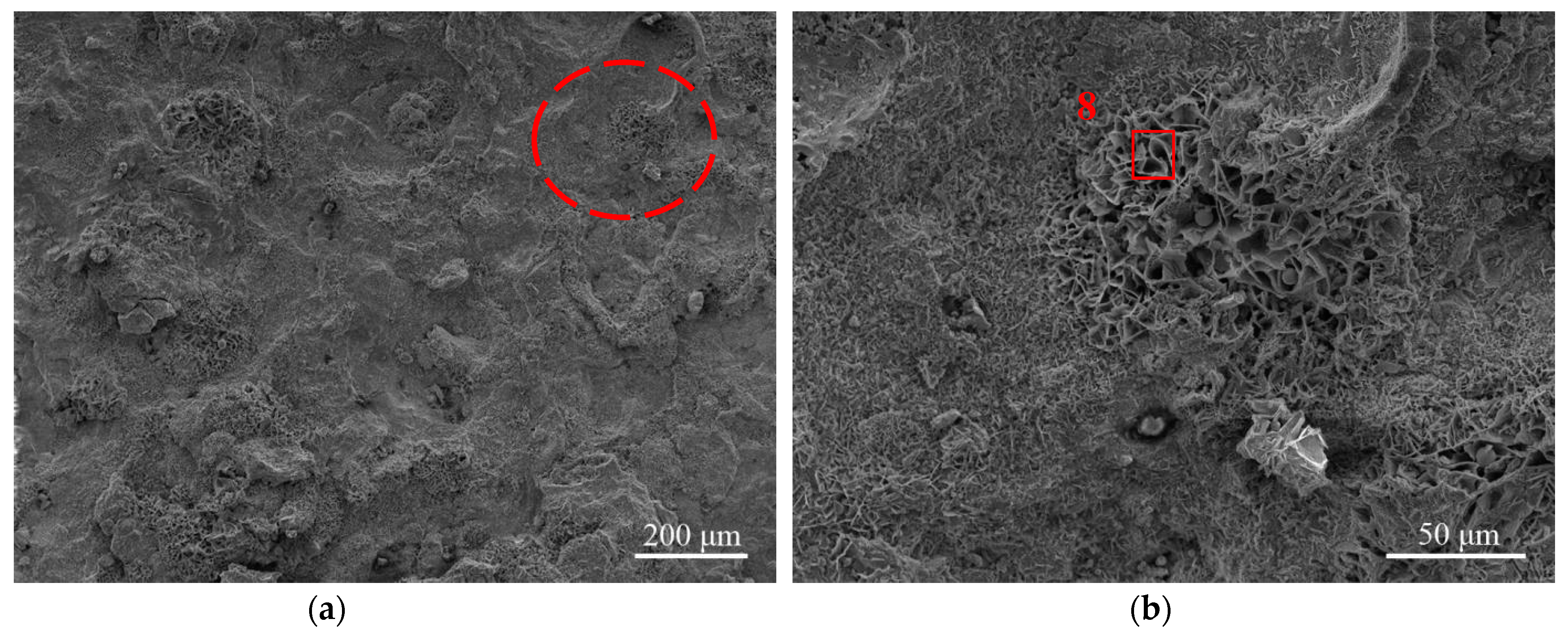 Evolution of the corrosion layer of Q235 steel in simulated fire