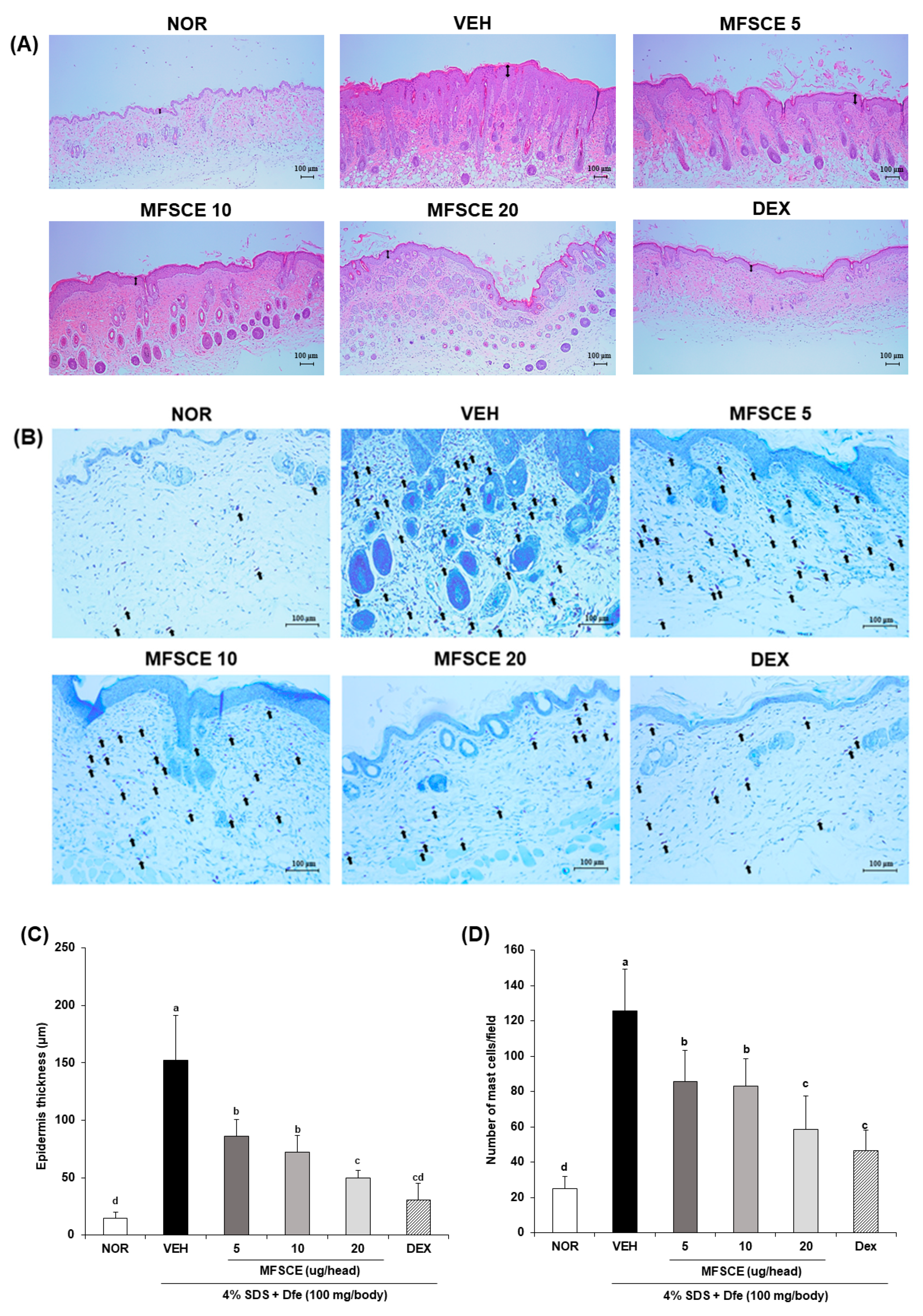 Applsci 13 04542 g006 Applsci 13 04542 g006