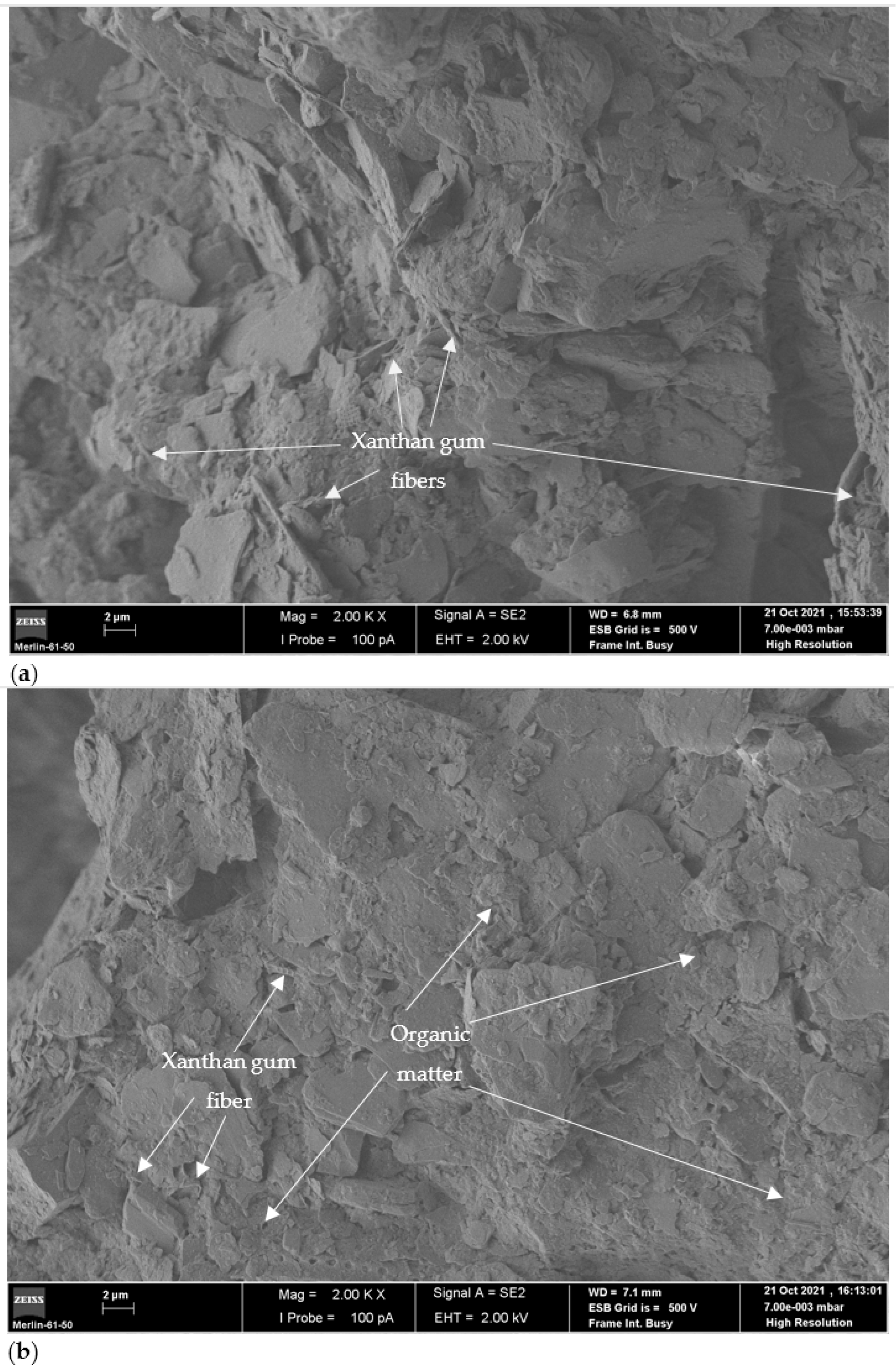 Applsci 13 04787 g005 Applsci 13 04787 g005