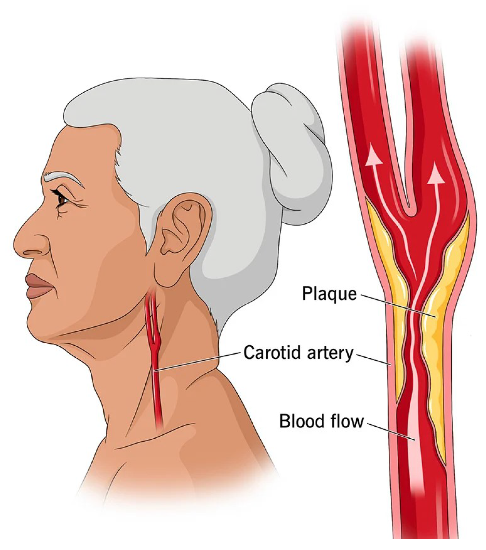 Applsci 13 04821 g001 Applsci 13 04821 g001