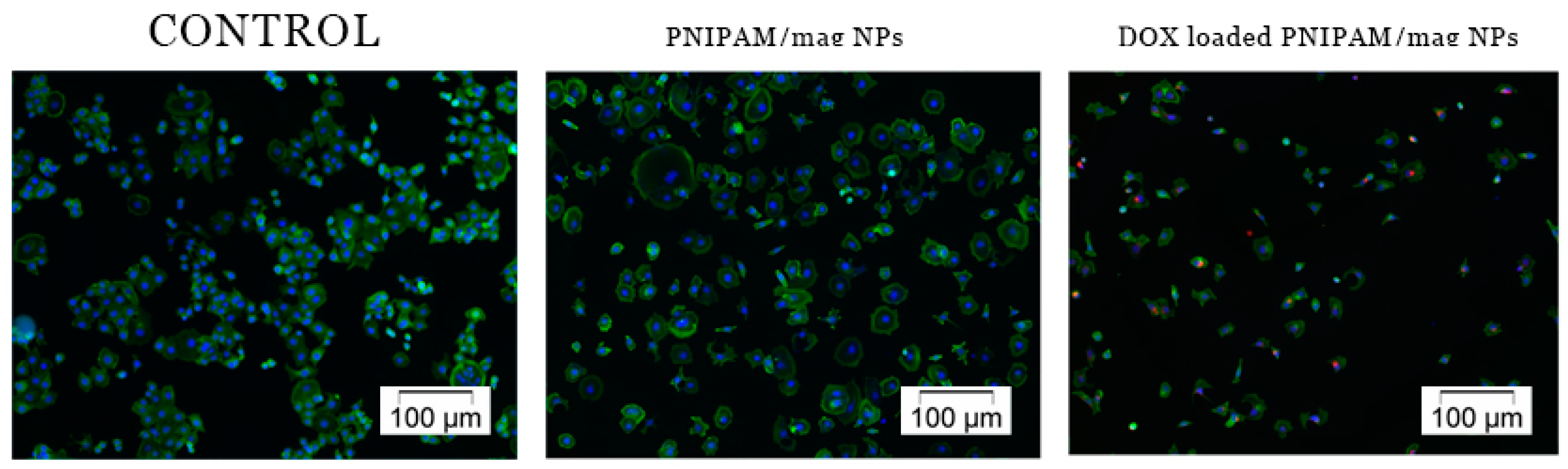 Applsci 13 04870 g008 Applsci 13 04870 g008