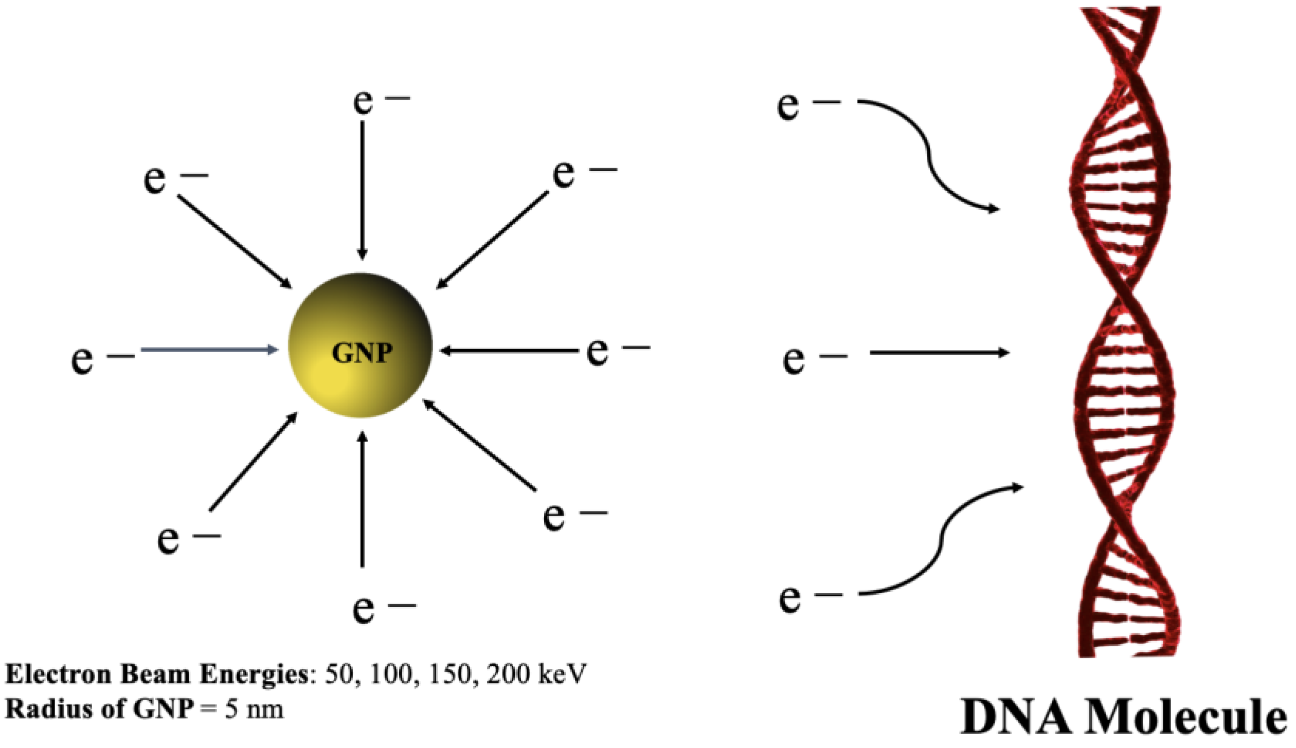 Applsci 13 04916 g002 Applsci 13 04916 g002