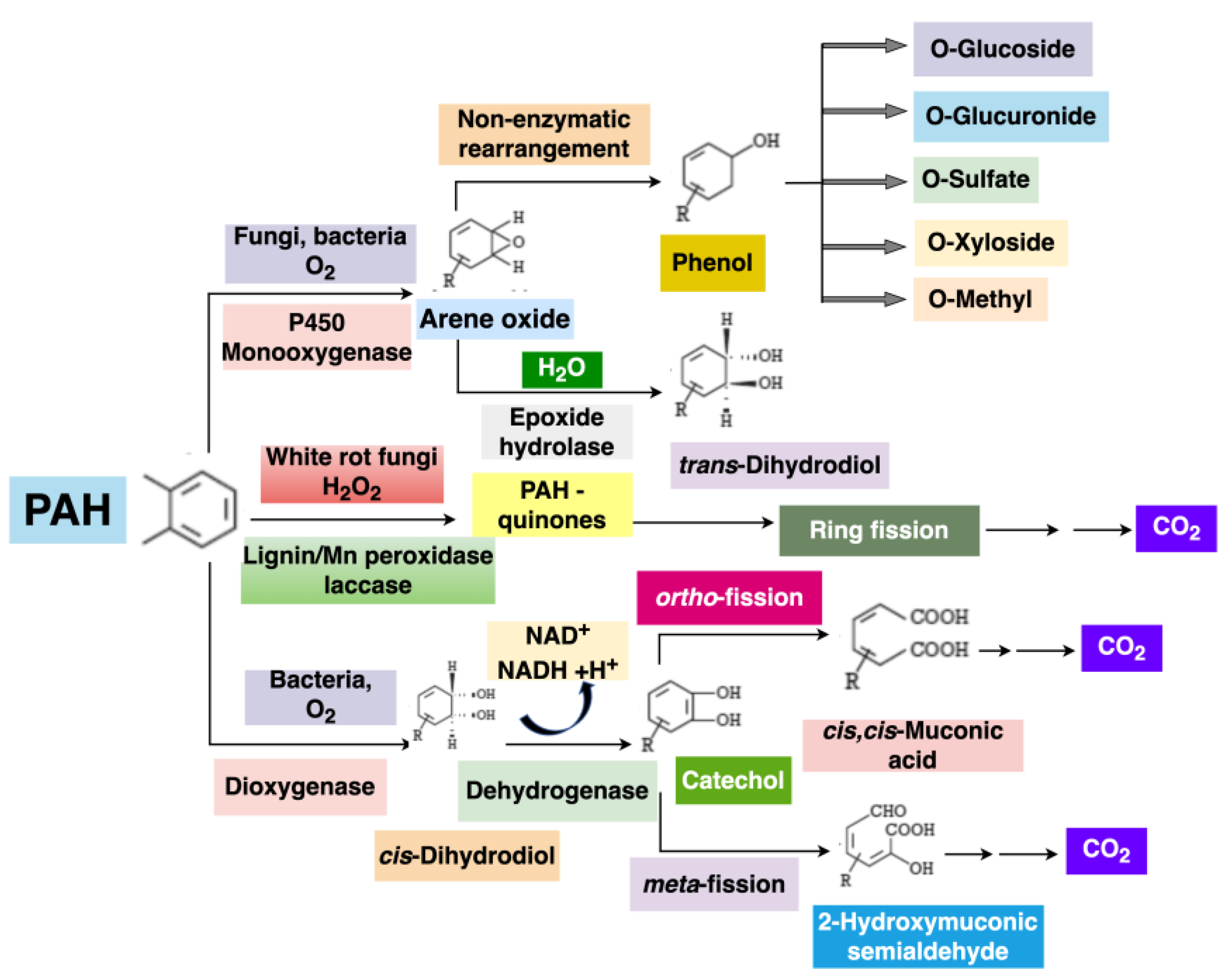 Applsci 13 04978 g004