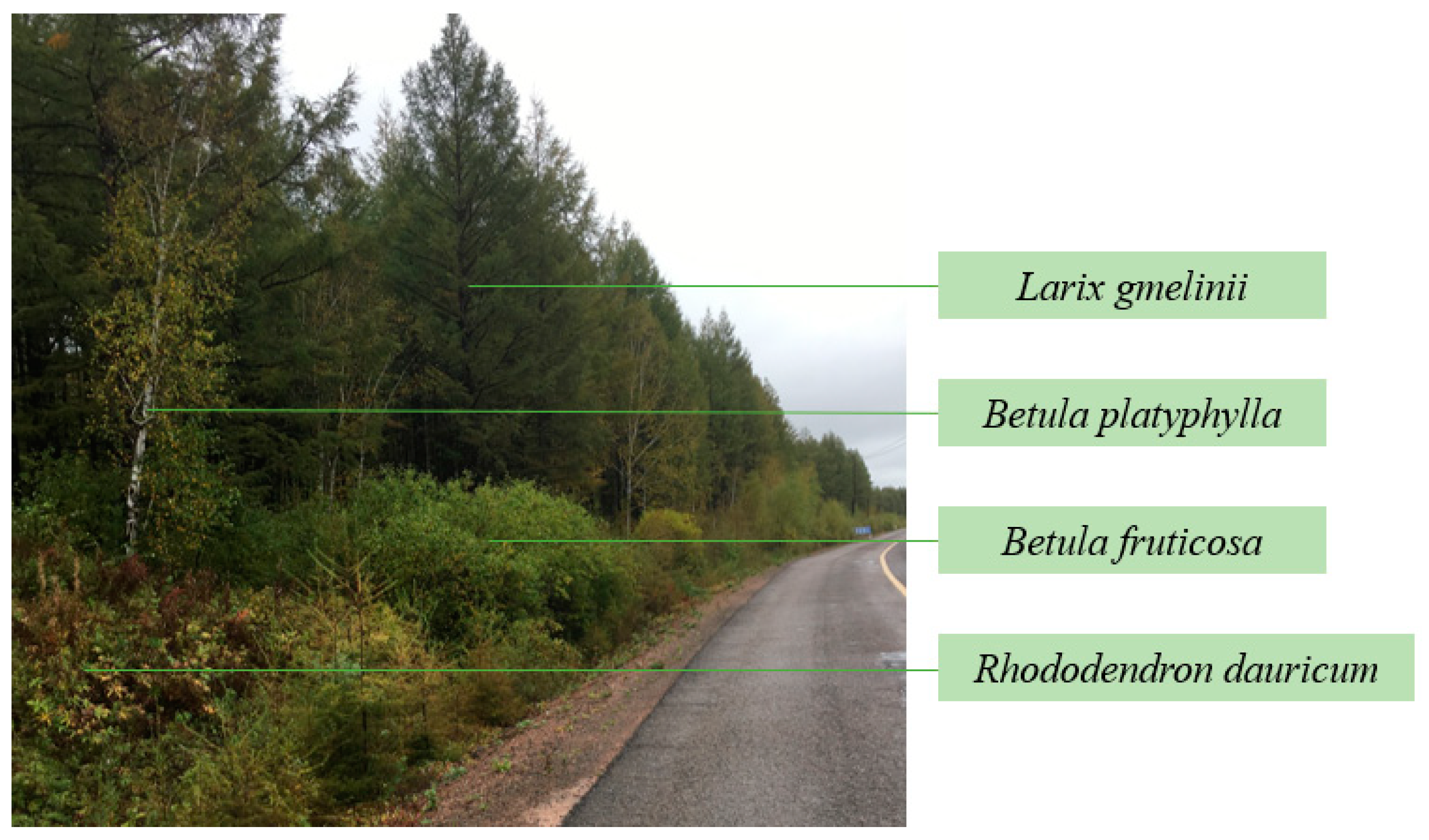 Applsci 13 05036 g003