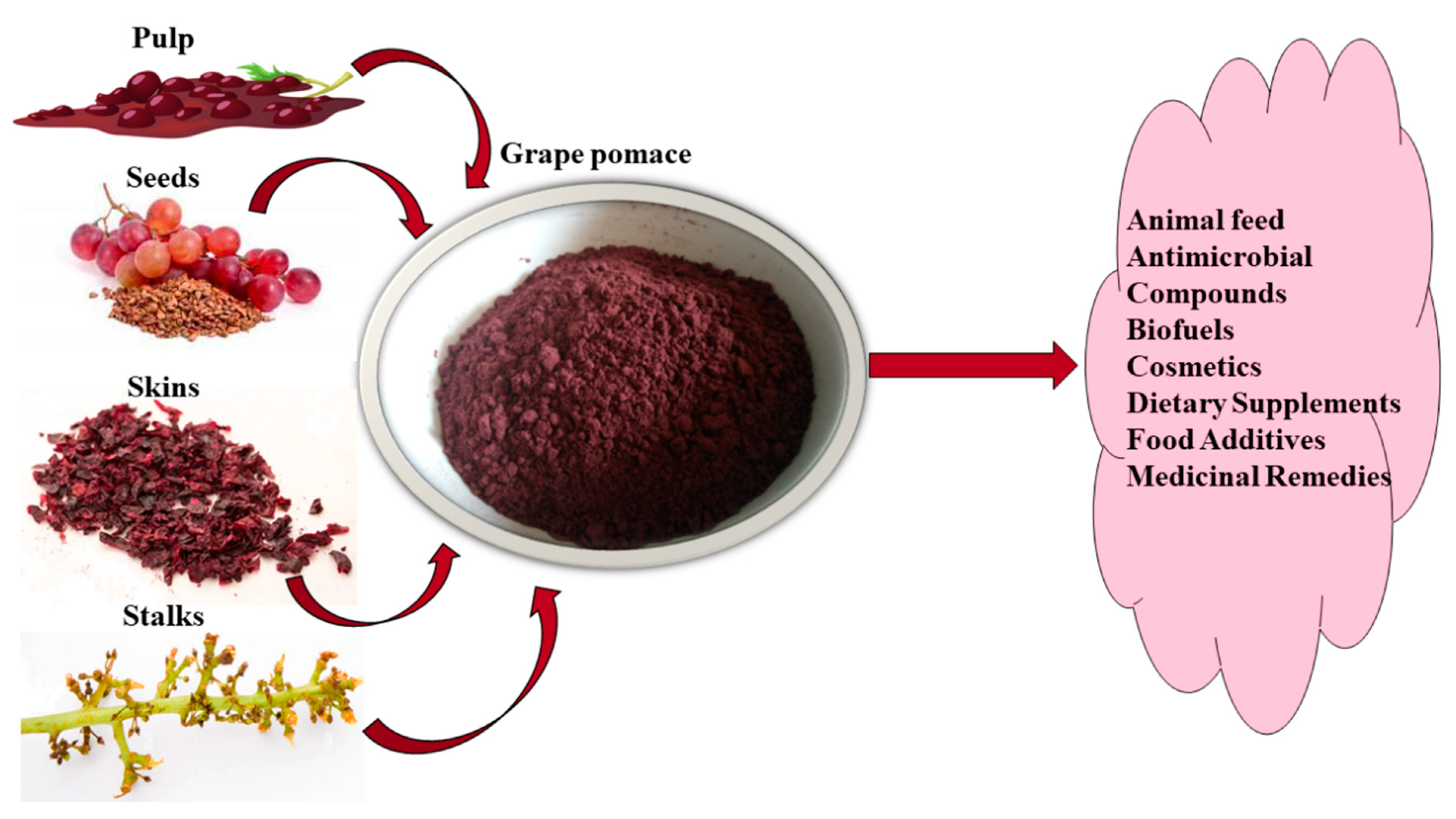 Applsci 13 05063 g002