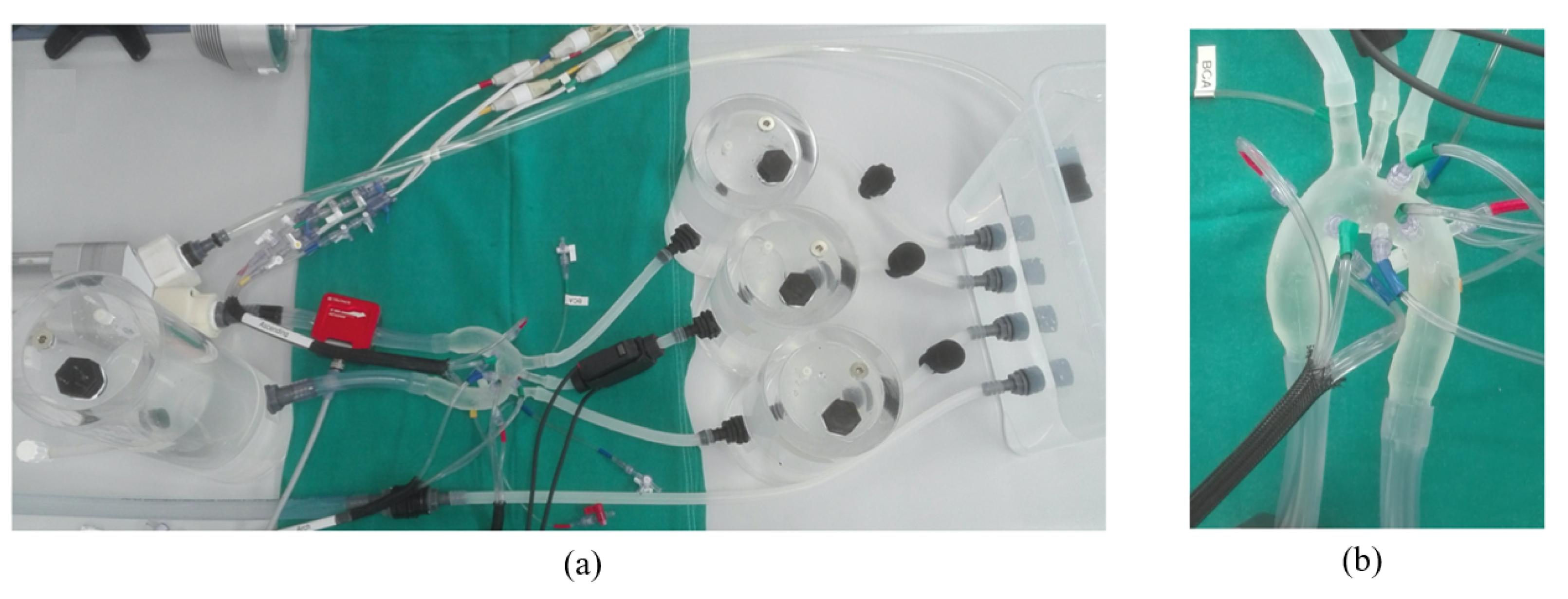 Applsci 13 05095 g003 Applsci 13 05095 g003