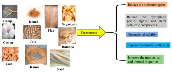 Analysis of Water Absorption of Different Natural Fibers