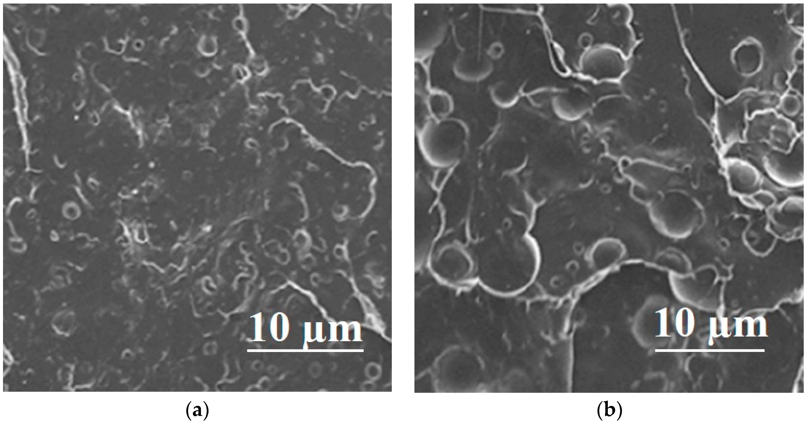 Applsci 13 05148 g003a Applsci 13 05148 g003a