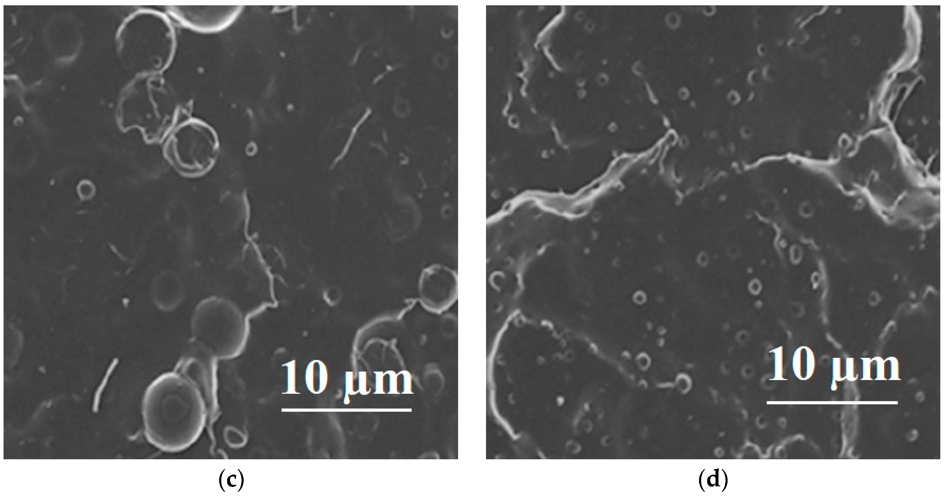 Applsci 13 05148 g003b Applsci 13 05148 g003b