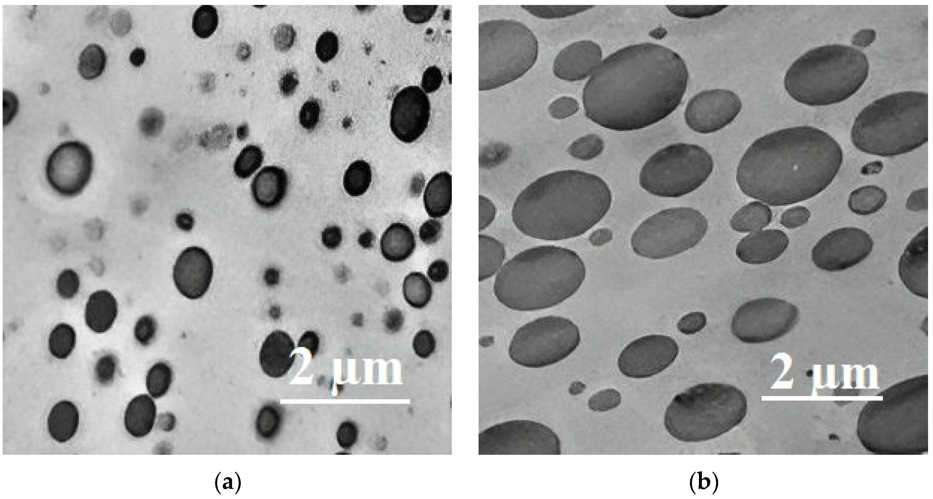Applsci 13 05148 g011 Applsci 13 05148 g011