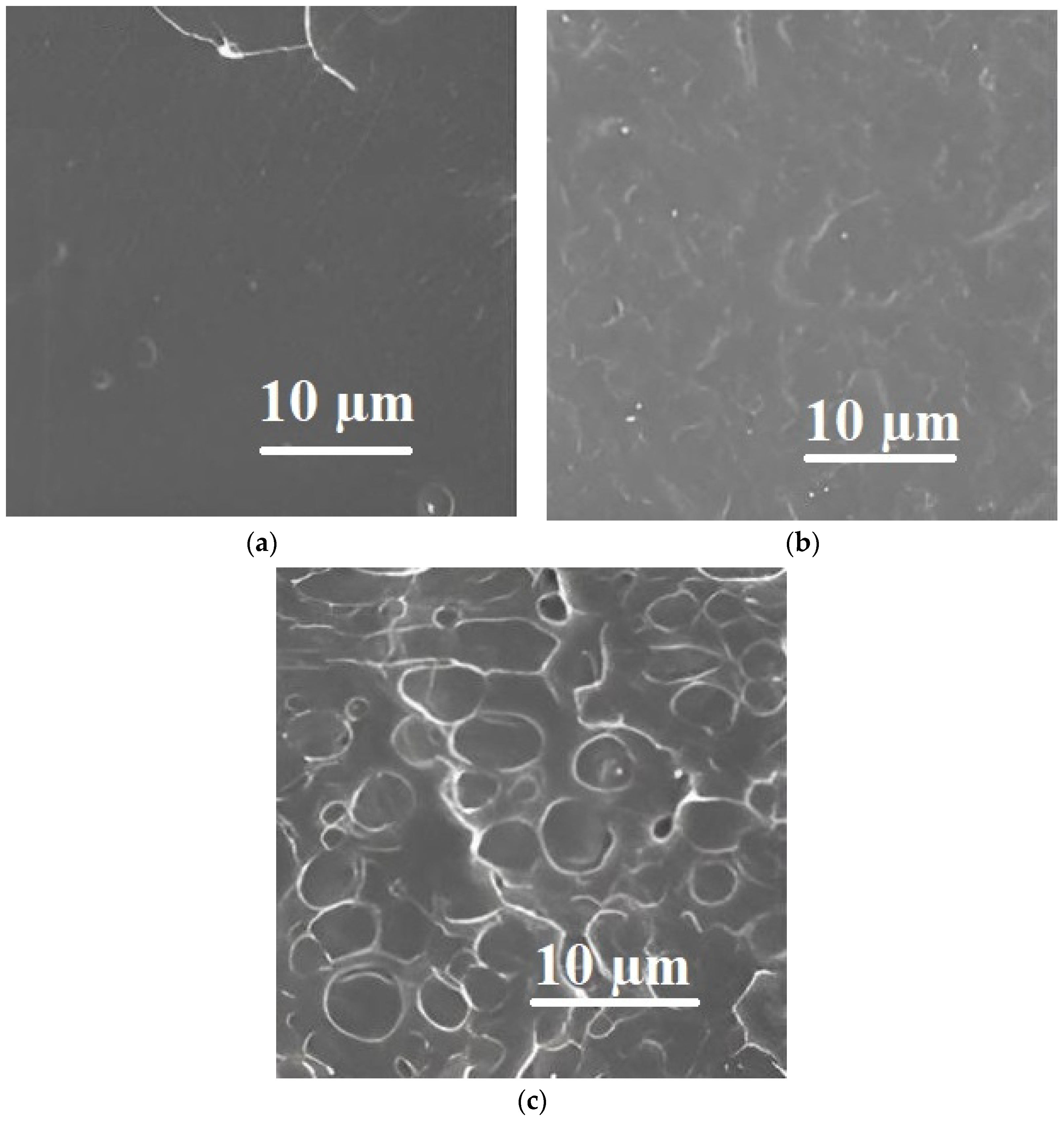 Applsci 13 05148 g015 Applsci 13 05148 g015